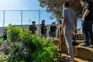 Urban Agriculture 101