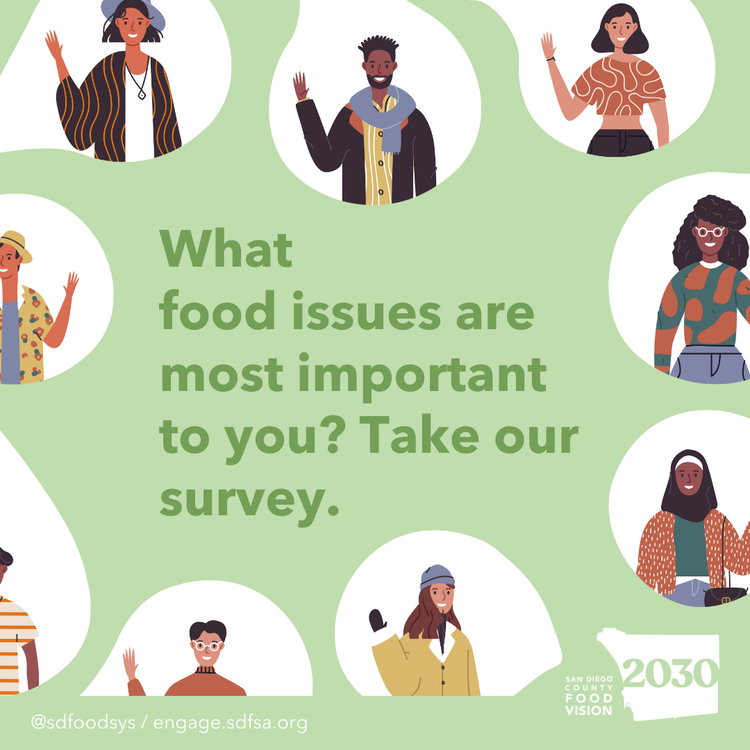 Food Vision 2030 Community Engagement Results