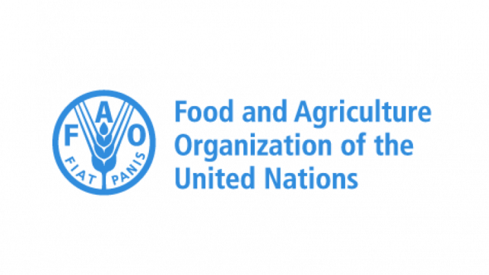 Food and Agriculture Organization of the United Nations.png