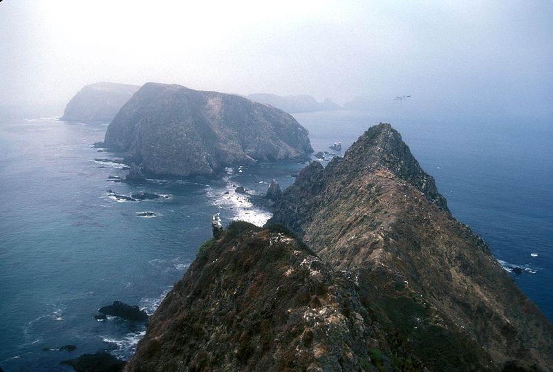 Island&nbsp;Wildlife Cruise