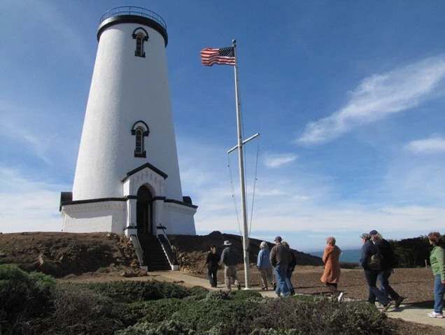 Piedras Blancas Lighthouse, Elephant Seals & Cambria Day Trip