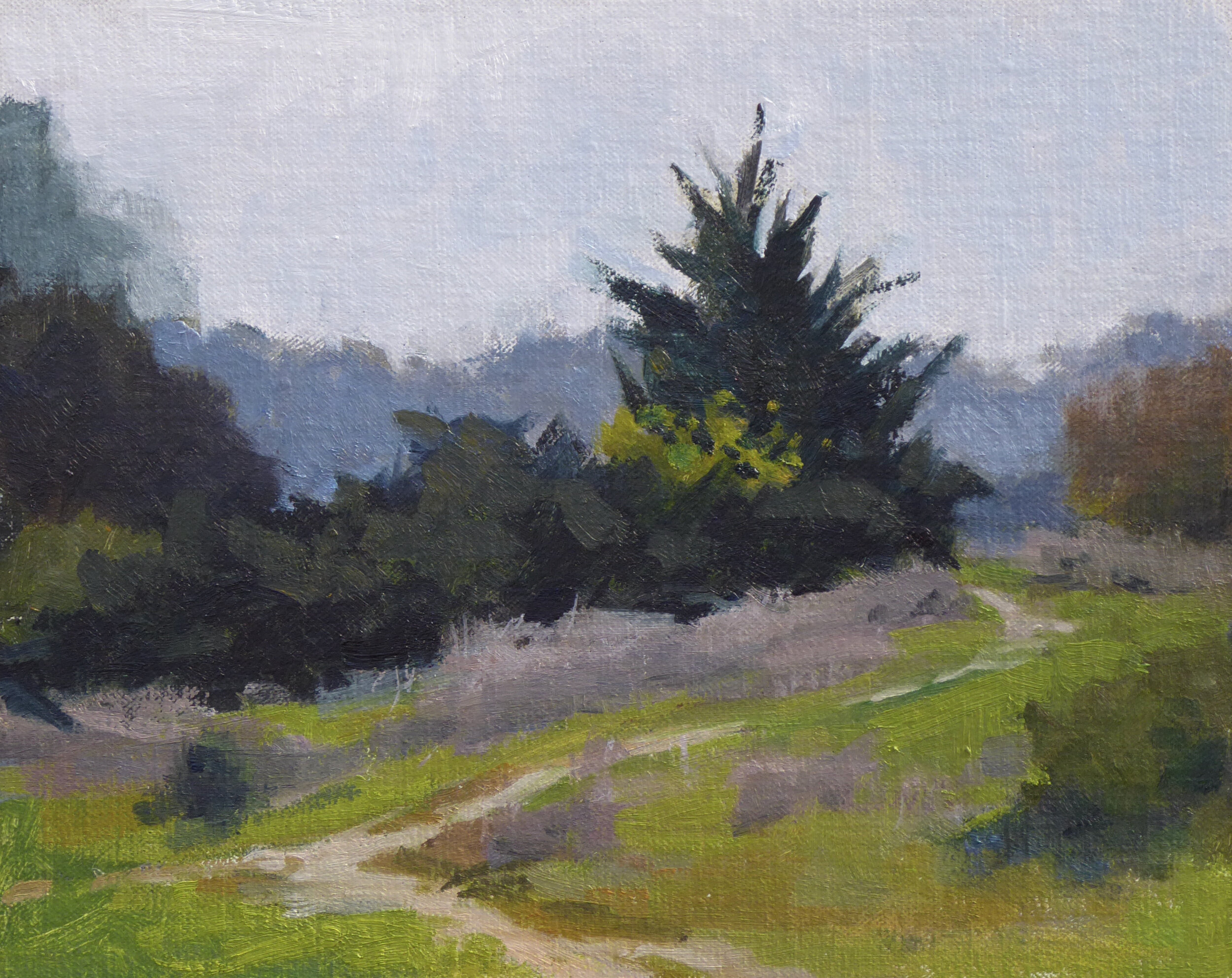 Libby Smith, "Los Carneros Path," Oil on panel