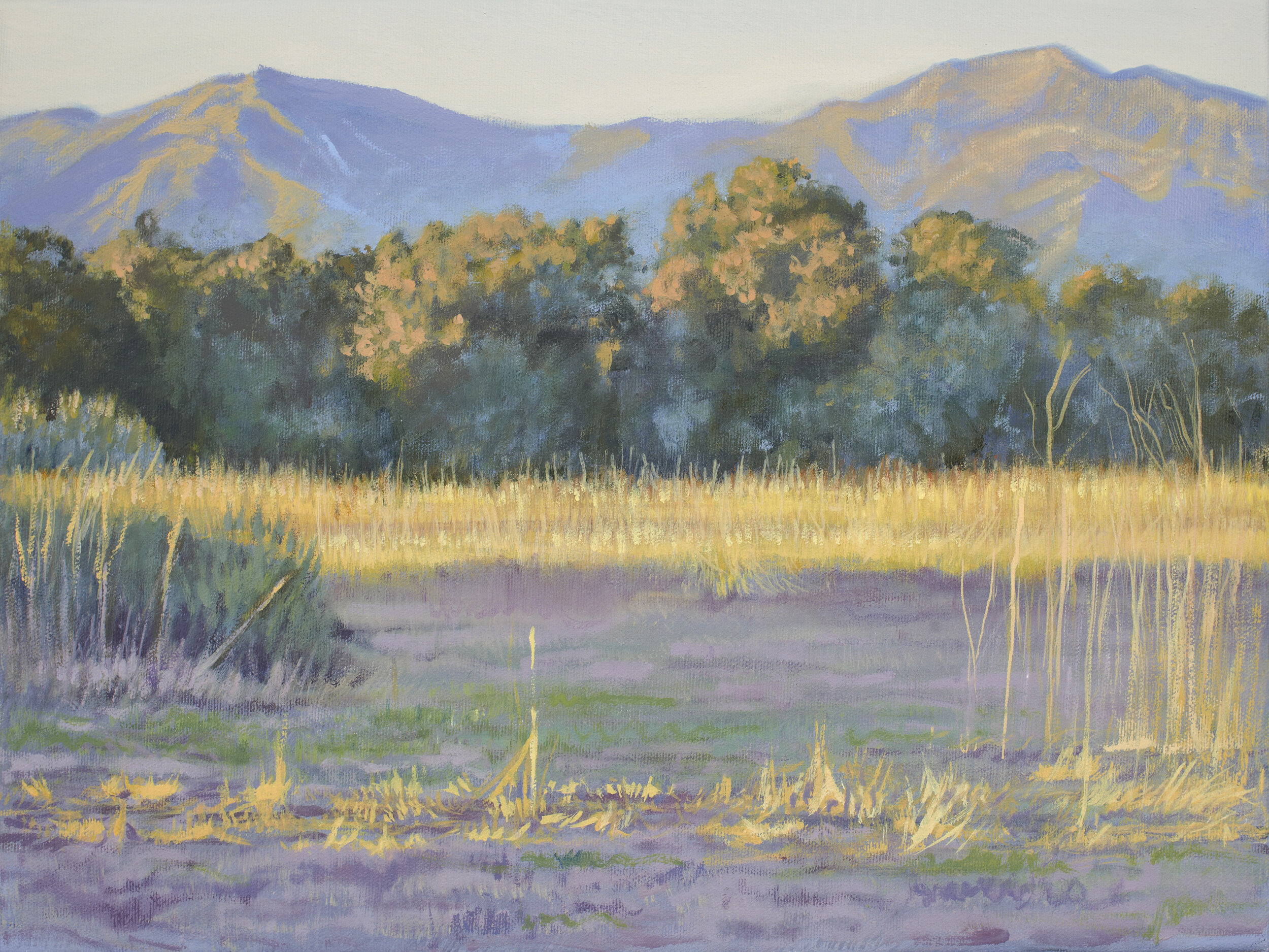 Karen Fedderson, "Last Light at Ellwood Mesa," Oil on canvas