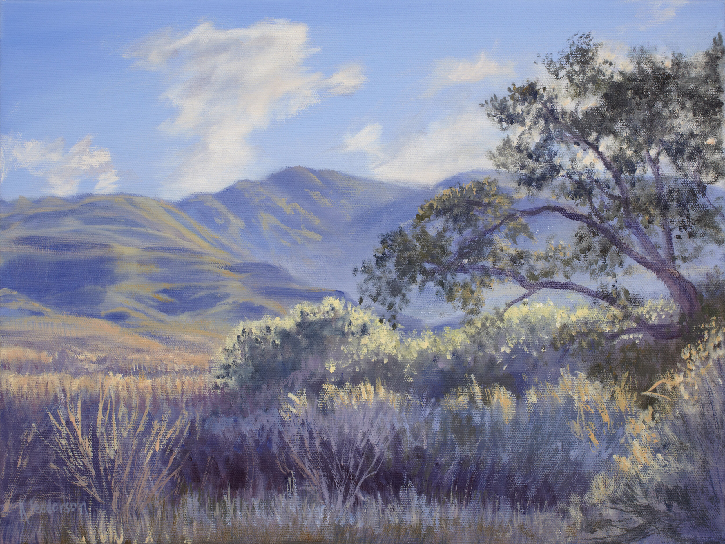 Karen Fedderson, "Sweetwater Trail Mountain View," Oil on canvas