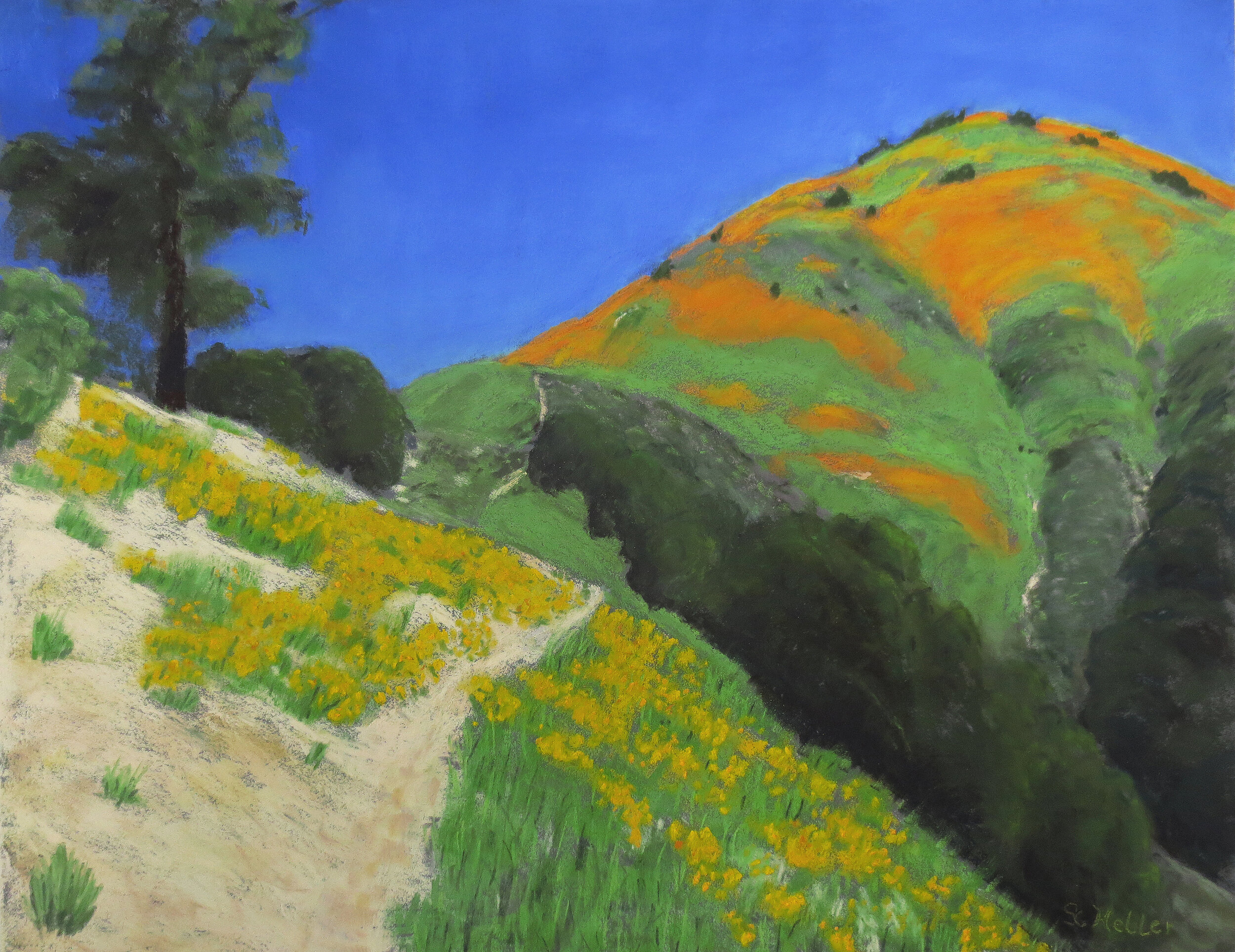 Sandi Heller, "Grass Mountain Trail," Pastel