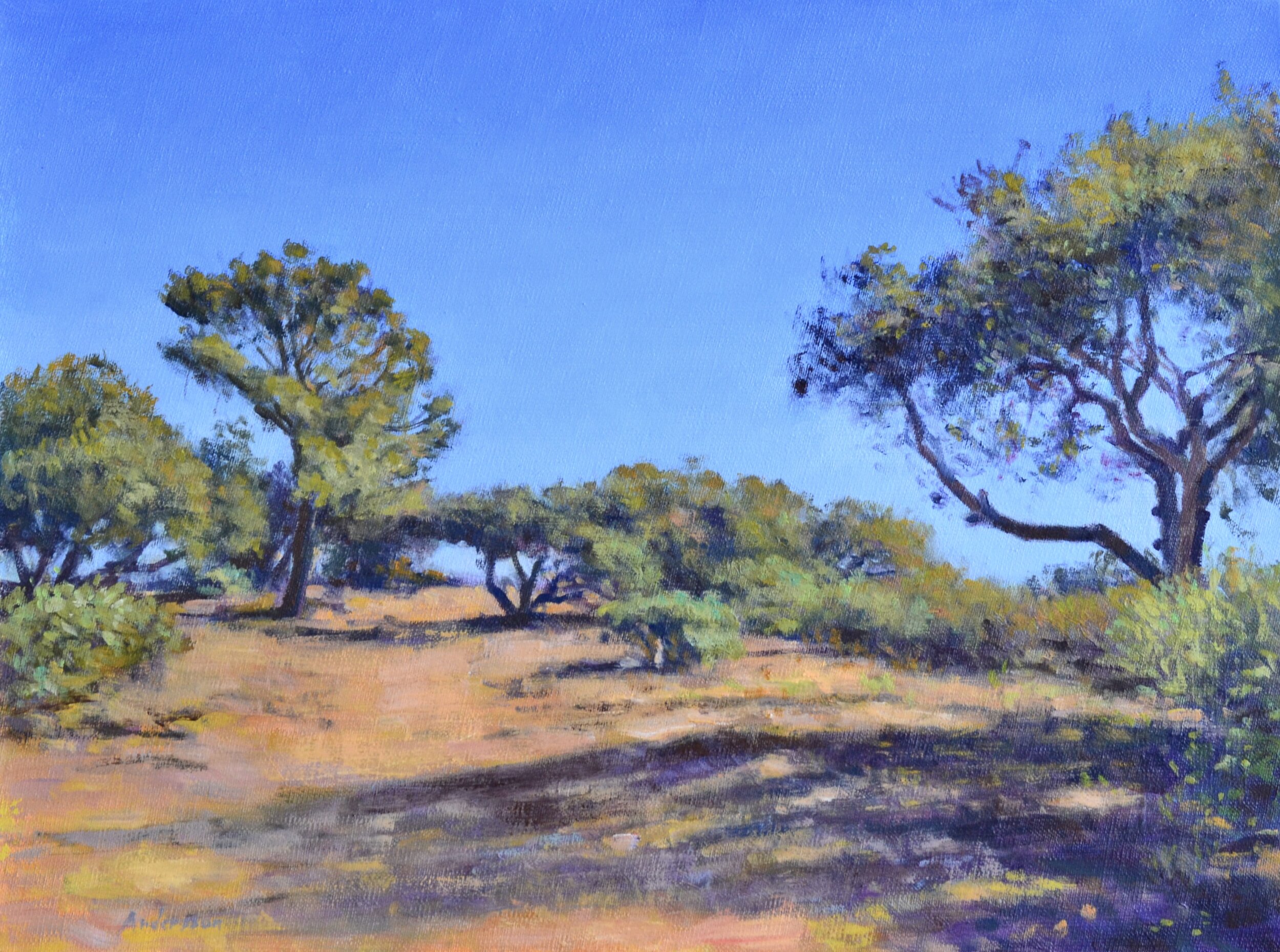 Neil W. Andersson, "La Purisima Trail," Oil on linen