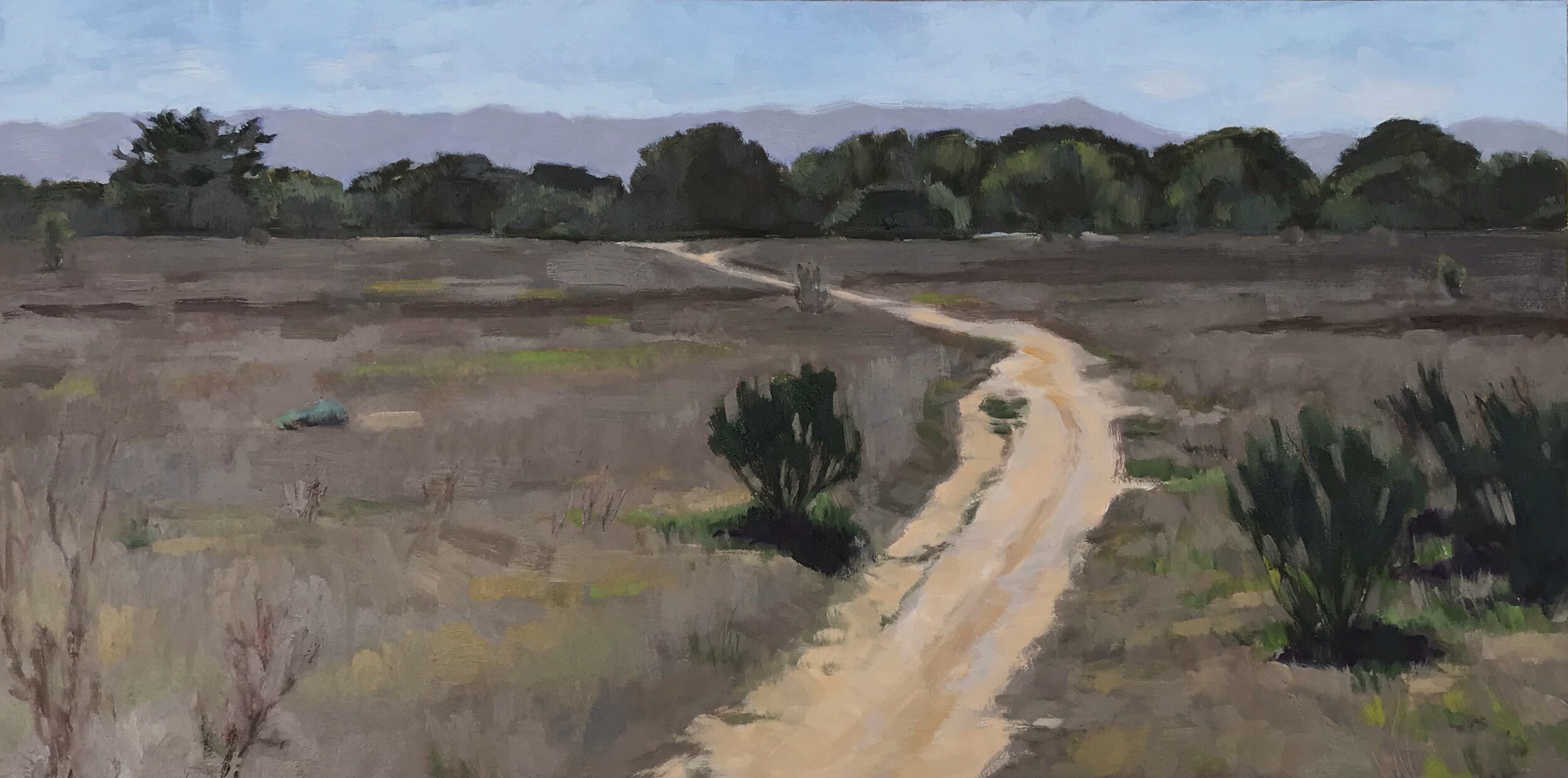 Nina Warner, "Meadow Trail," Oil on panel, Courtesy the Artist and Waterhouse Gallery