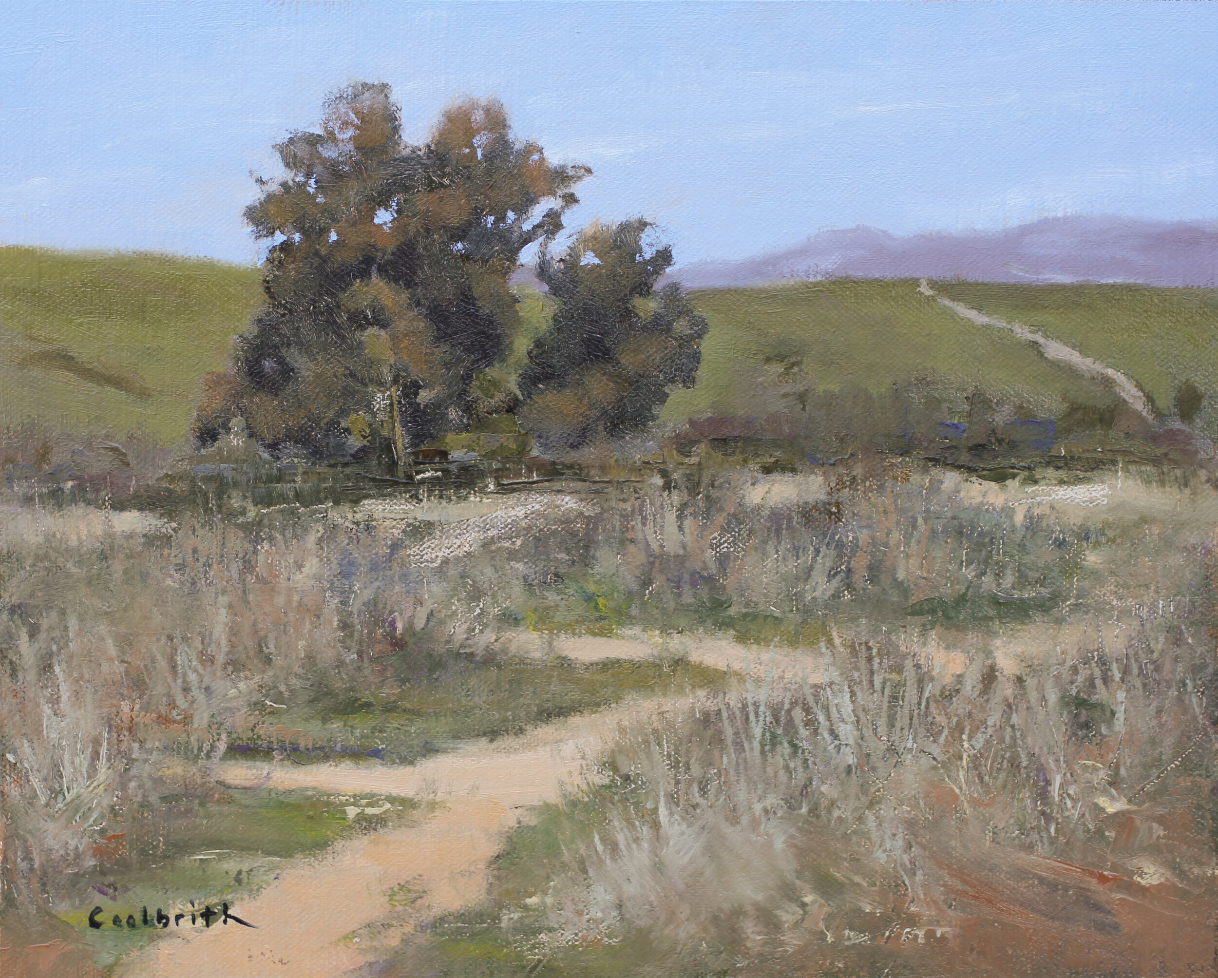 Daniel Jones, "Santa Maria Riverbed Trails," Oil on canvas