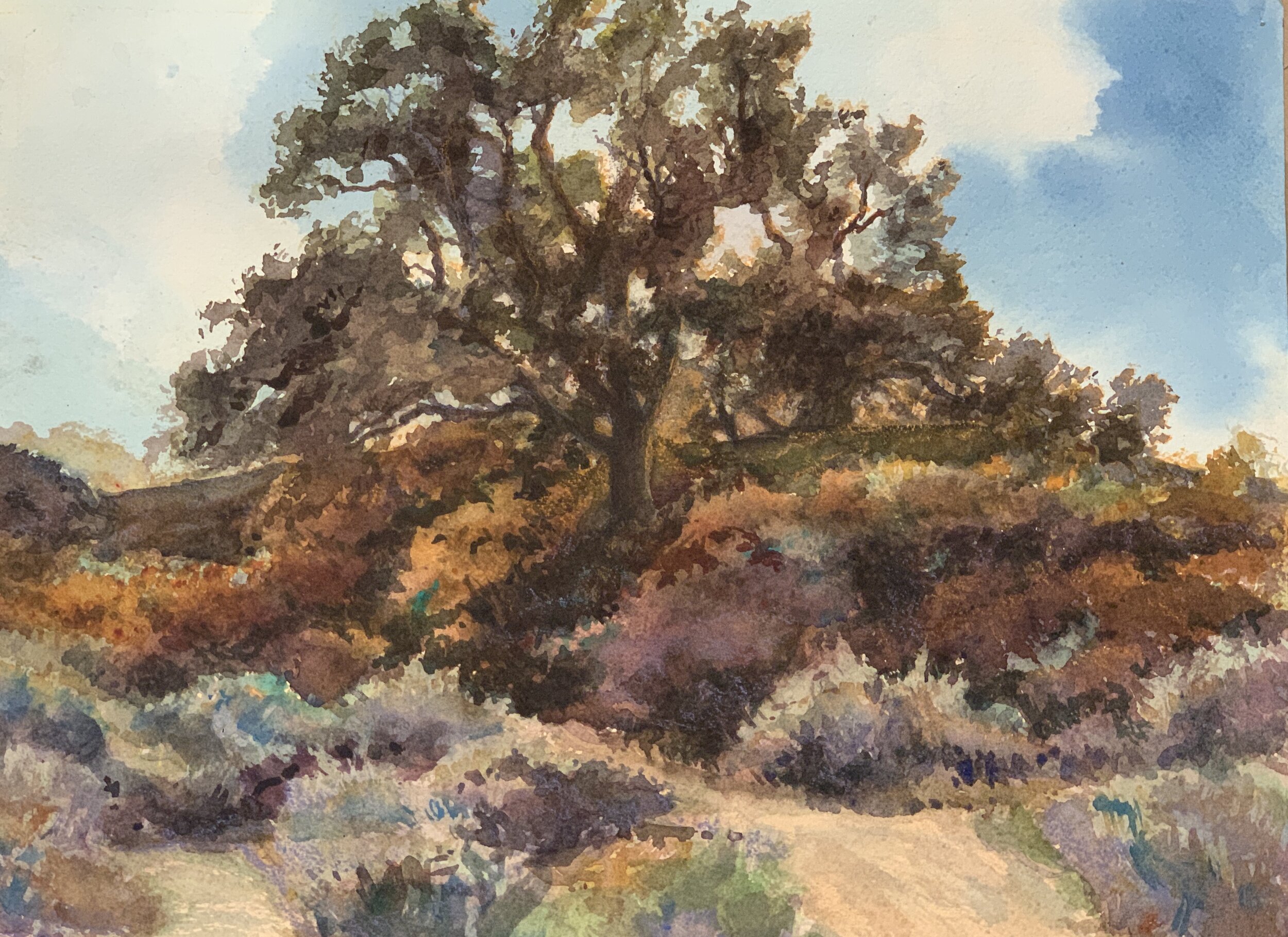 Rosanne Seitz, "Oak Tree Habitat," Watercolor