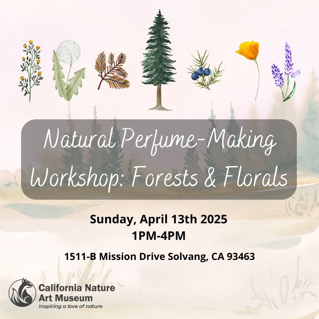 April 13th | Adult Art Workshop - Natural Perfume-Making: Forests & Florals #2