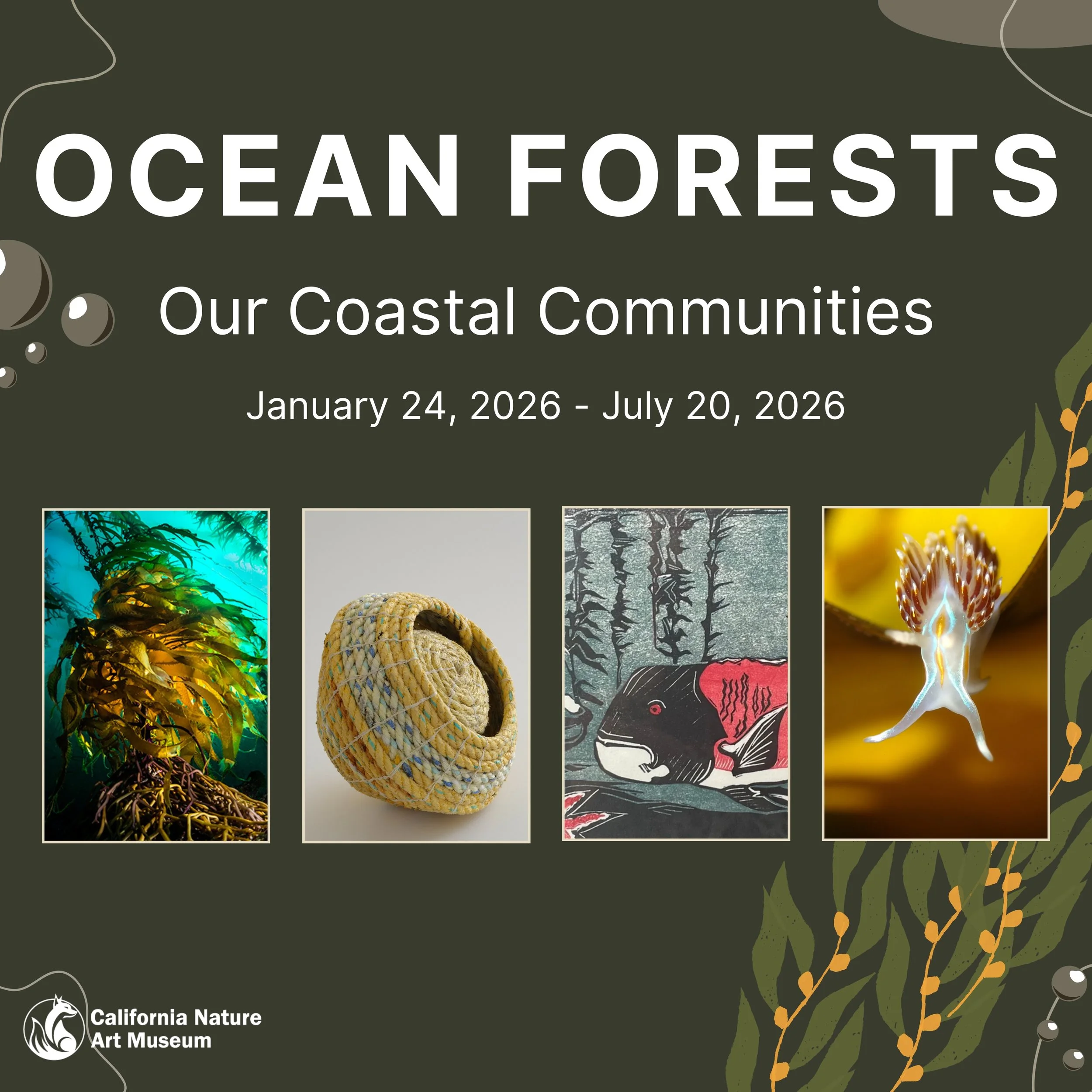 Ocean Forests: Our Coastal Communities