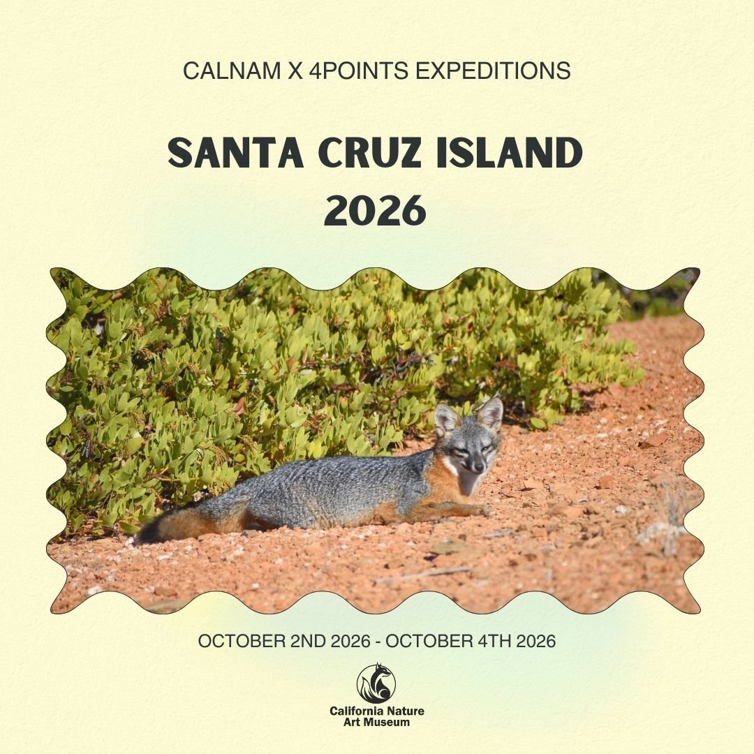 October 2nd - 4th | Santa Cruz Island, 2-Night Stay at UC Field Station