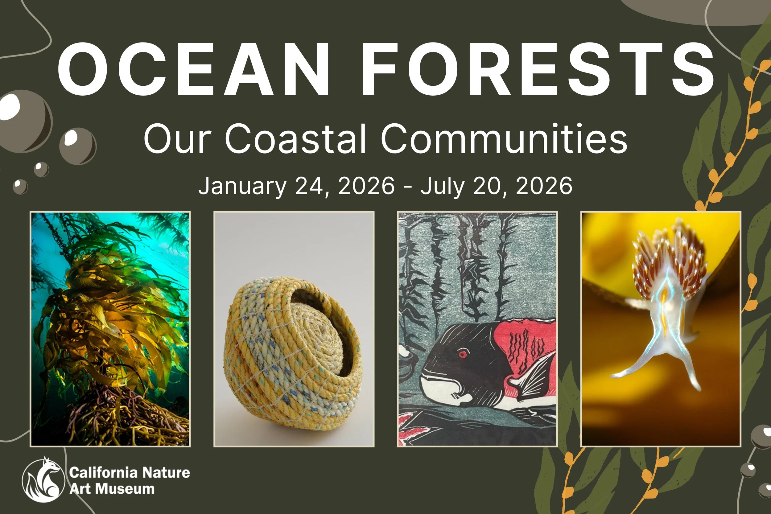 Ocean Forests: Our Coastal Communities