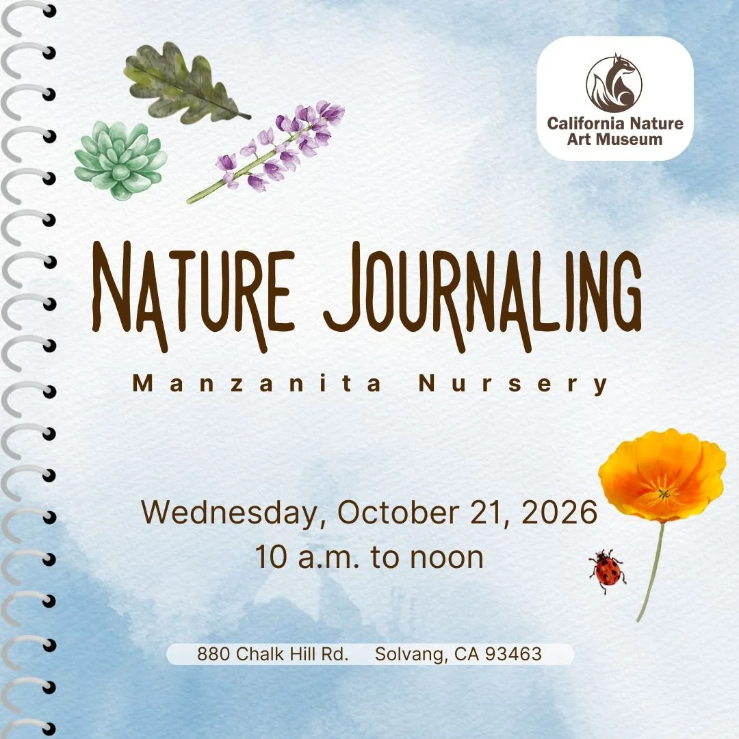 October 21 | Nature Journaling at Manzanita Nursery