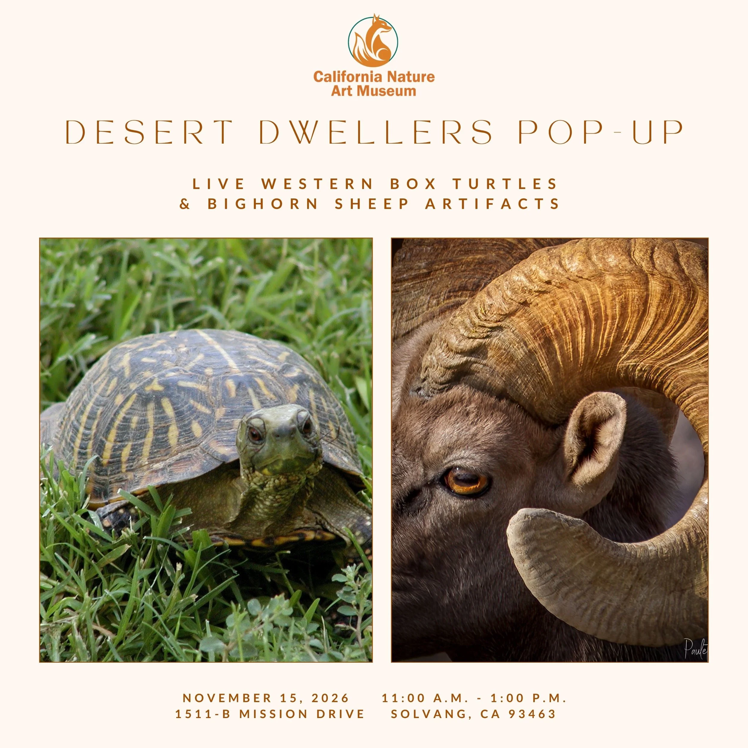 Desert Dwellers Pop-Up: Live Animals &amp; Artifacts