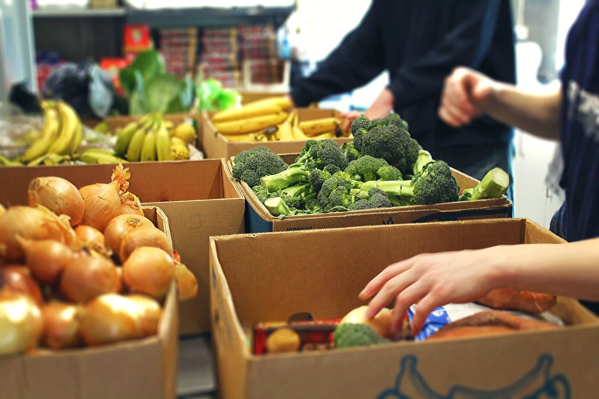 Food-Parcels-2-Mahurangi-Hope-Community-Trust-2000px.jpg