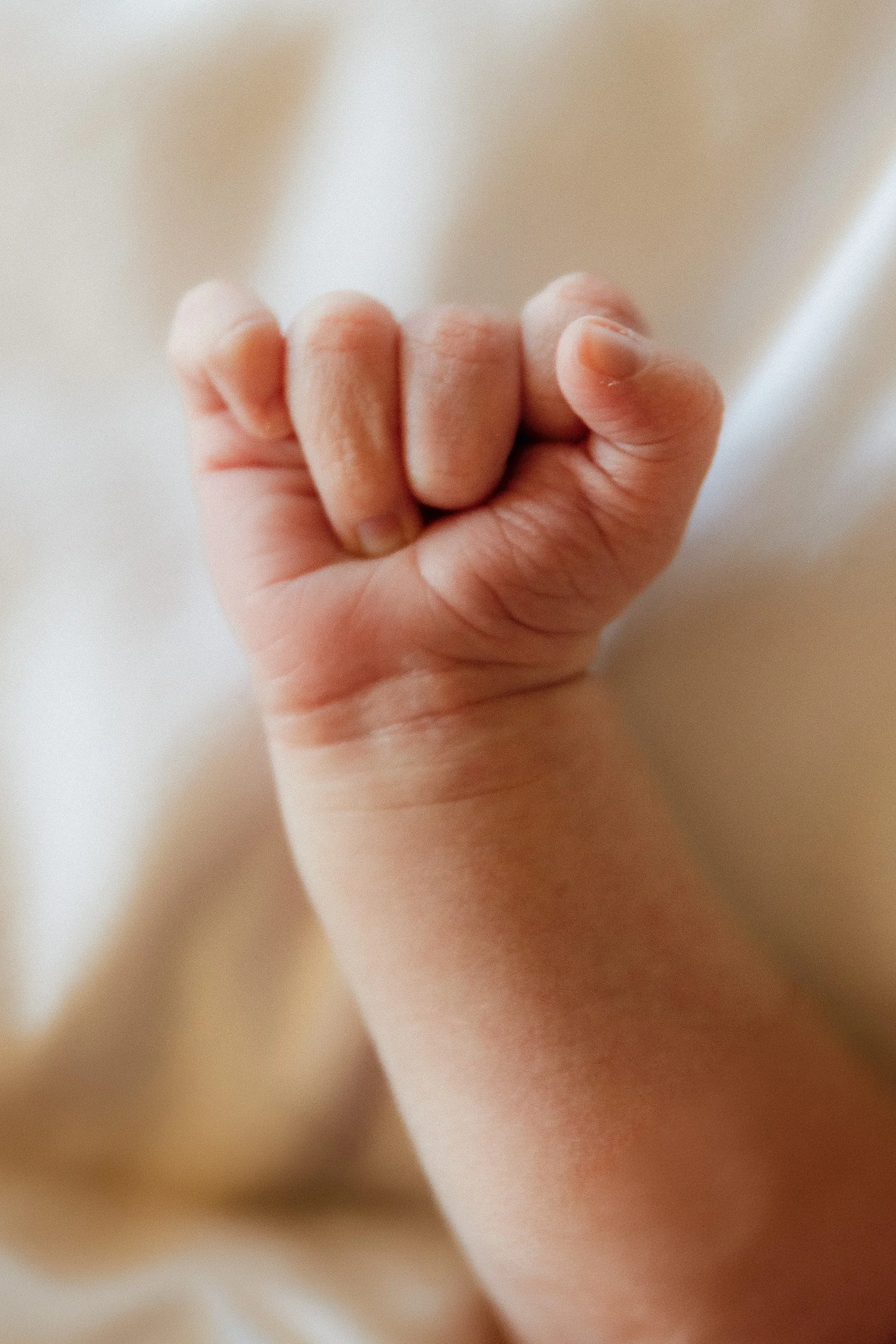 Newborn hand close-up from a guided family newborn lifestyle session in Orange County. A tiny fist curls against soft fabric in natural window light.