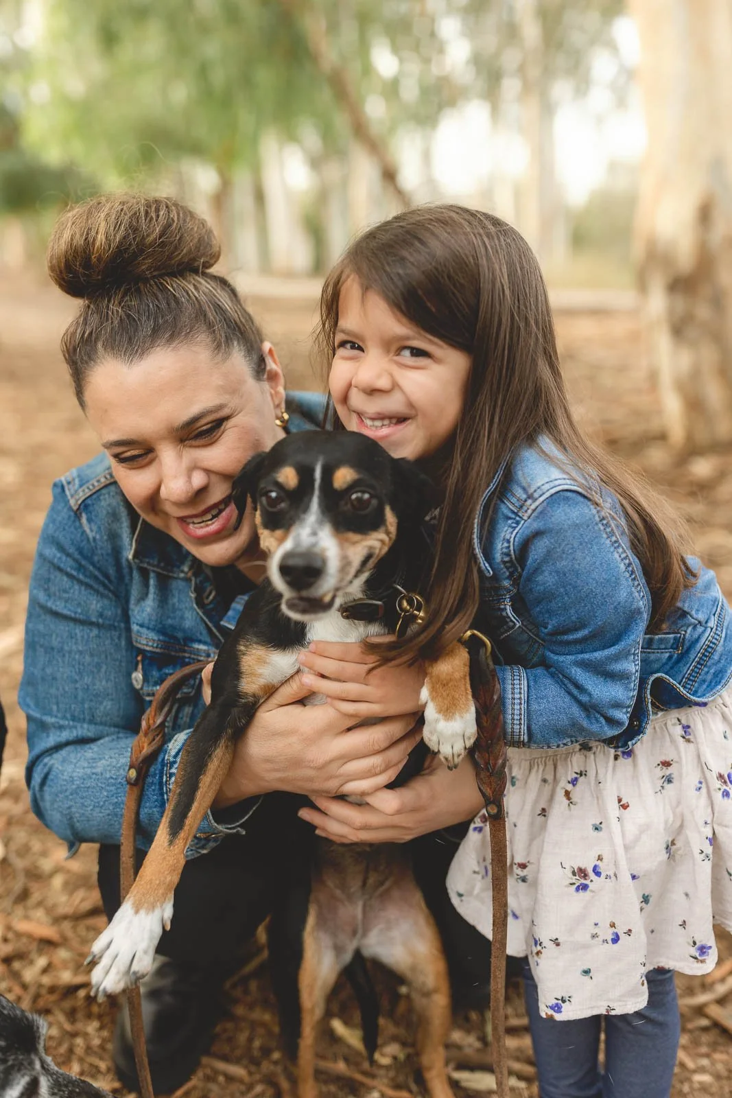 Parent and child holding a dog in the eucalyptus grove at Serrano Creek Park in Lake Forest.