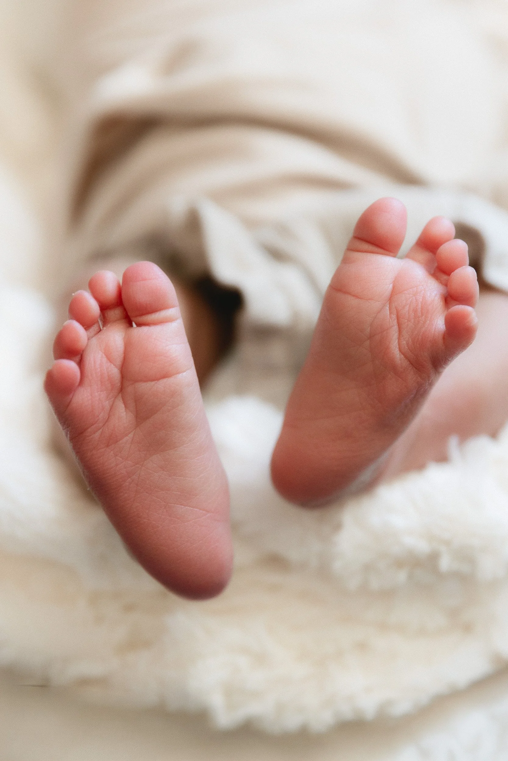 Close-up of newborn baby feet peeking out of a soft blanket during a newborn photo session