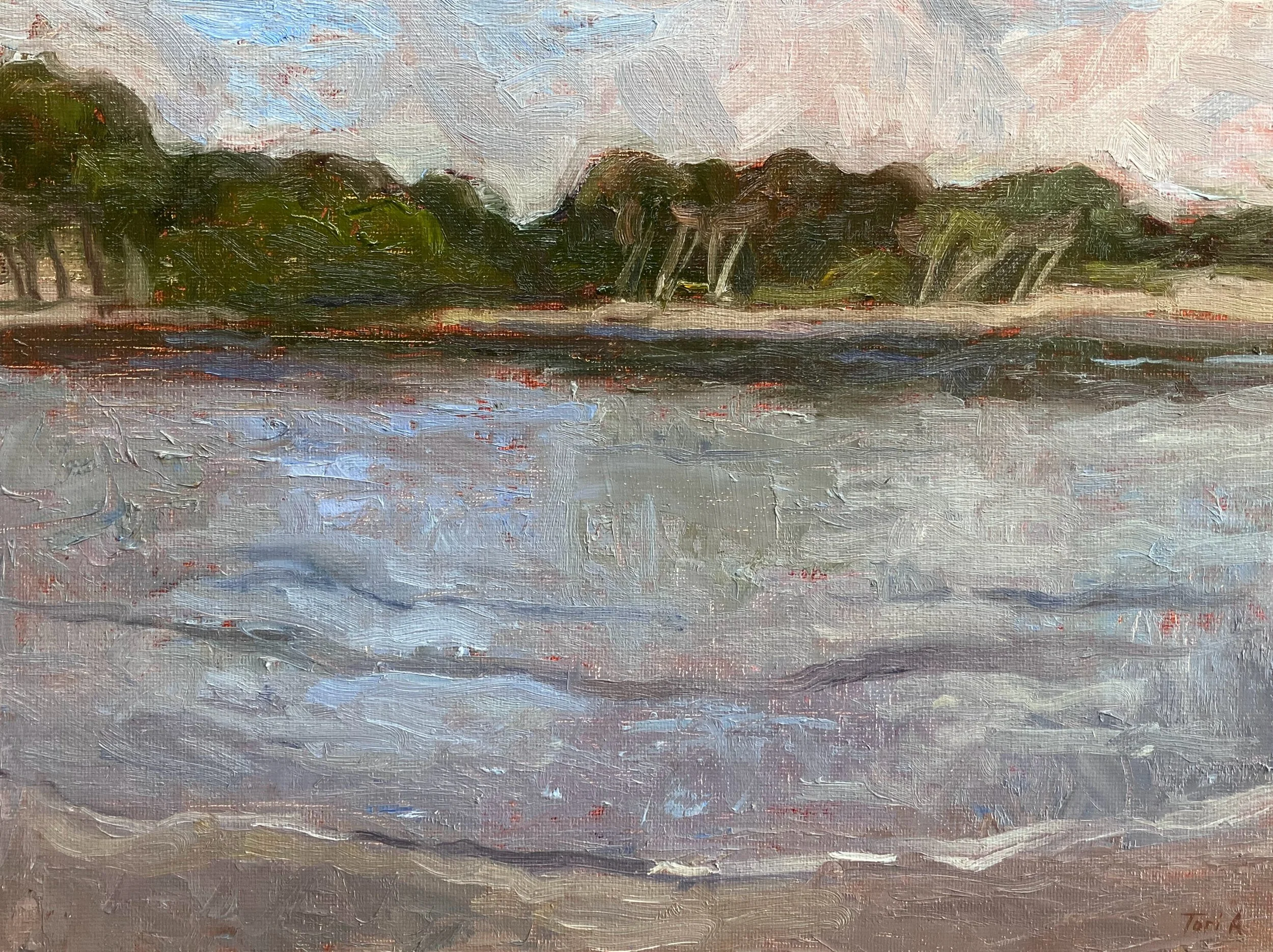 Salt Water, oil on canvas board, 9x12 in, $300