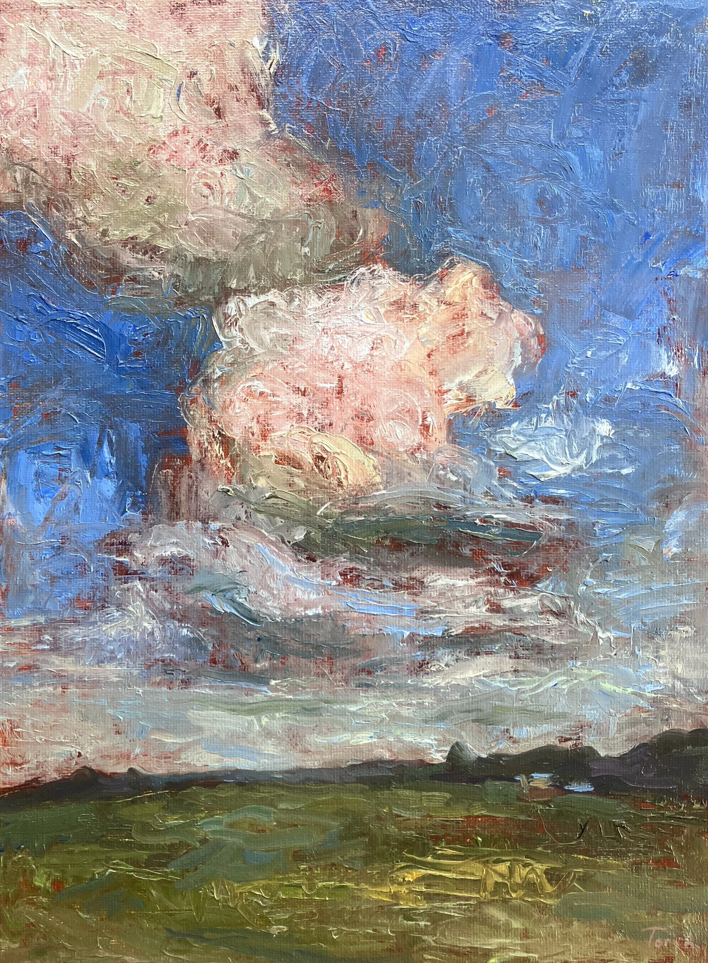 Wild Clouds, oil on canvas board, 12x9 in, $300