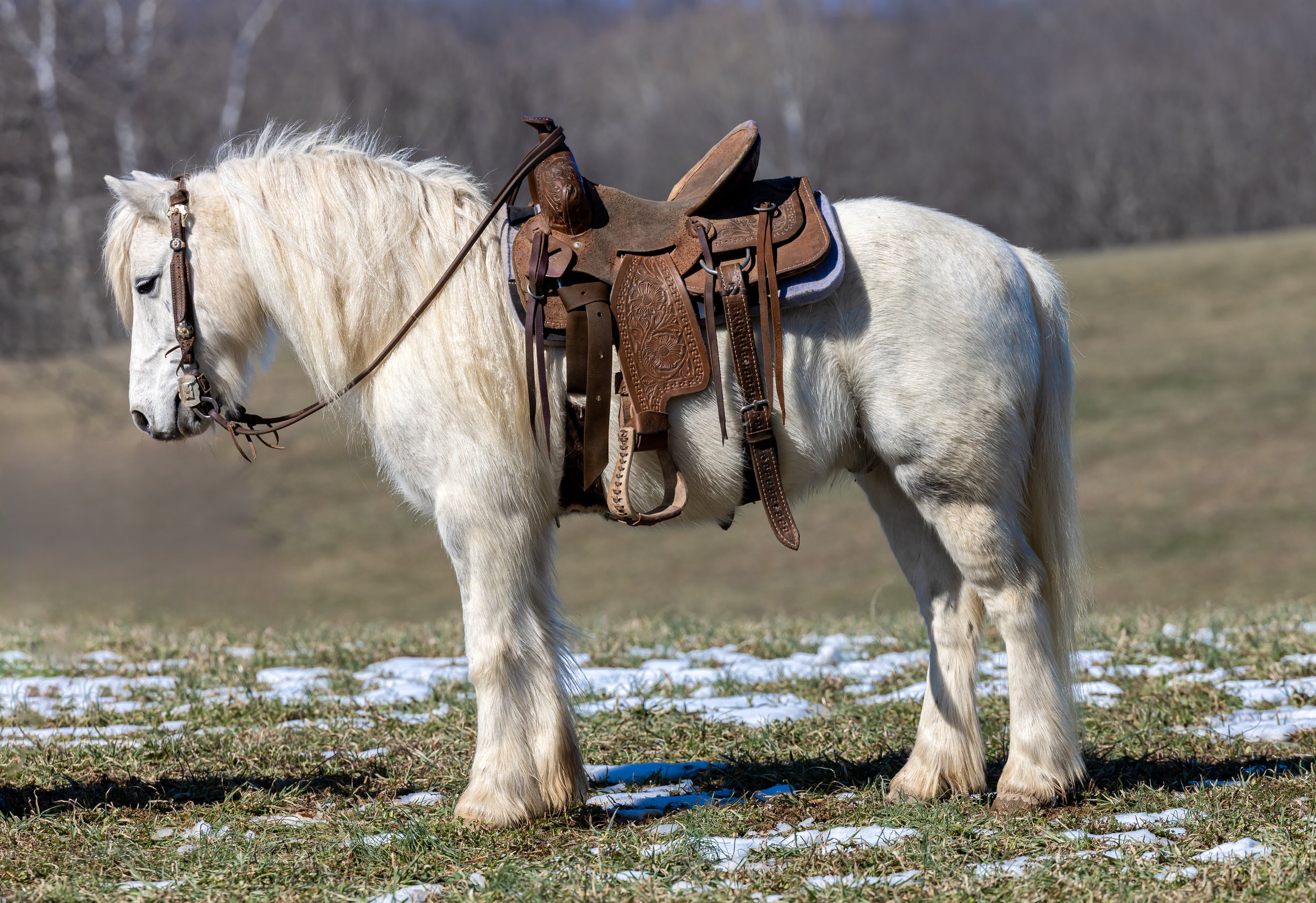 IMG_2164-Edit.jpg