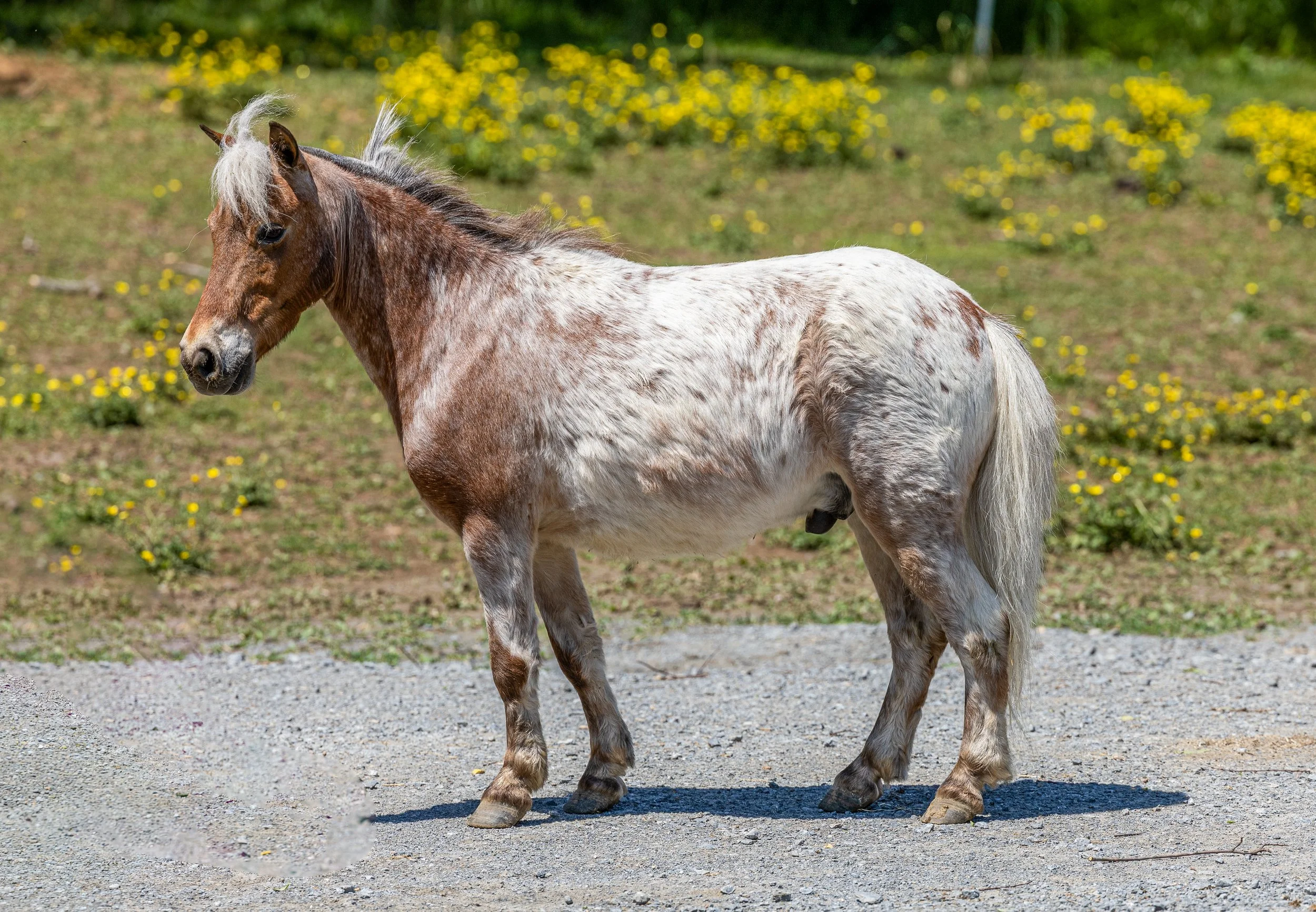 IMG_7702-Edit.jpg