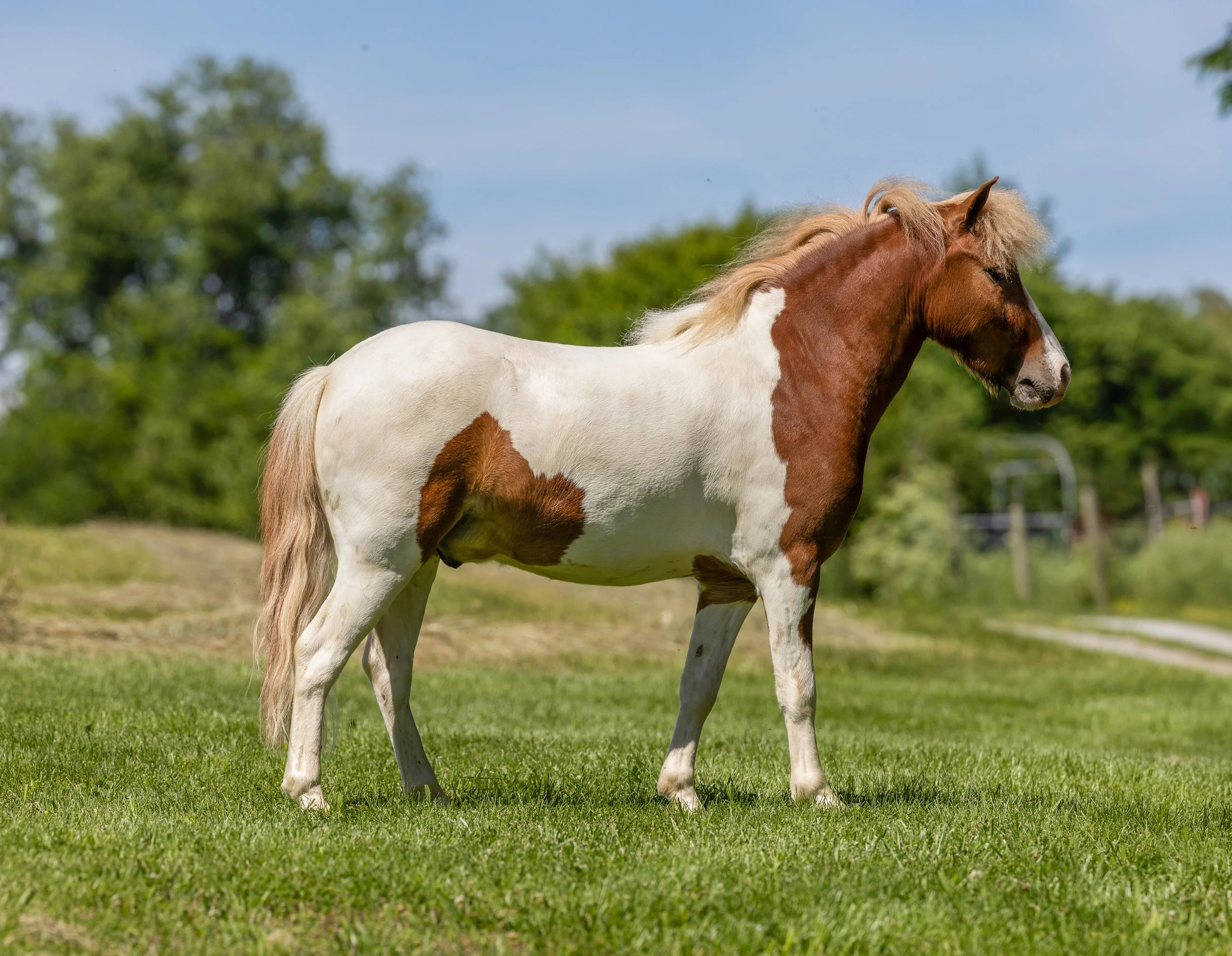 IMG_8426-Edit-Edit.jpg