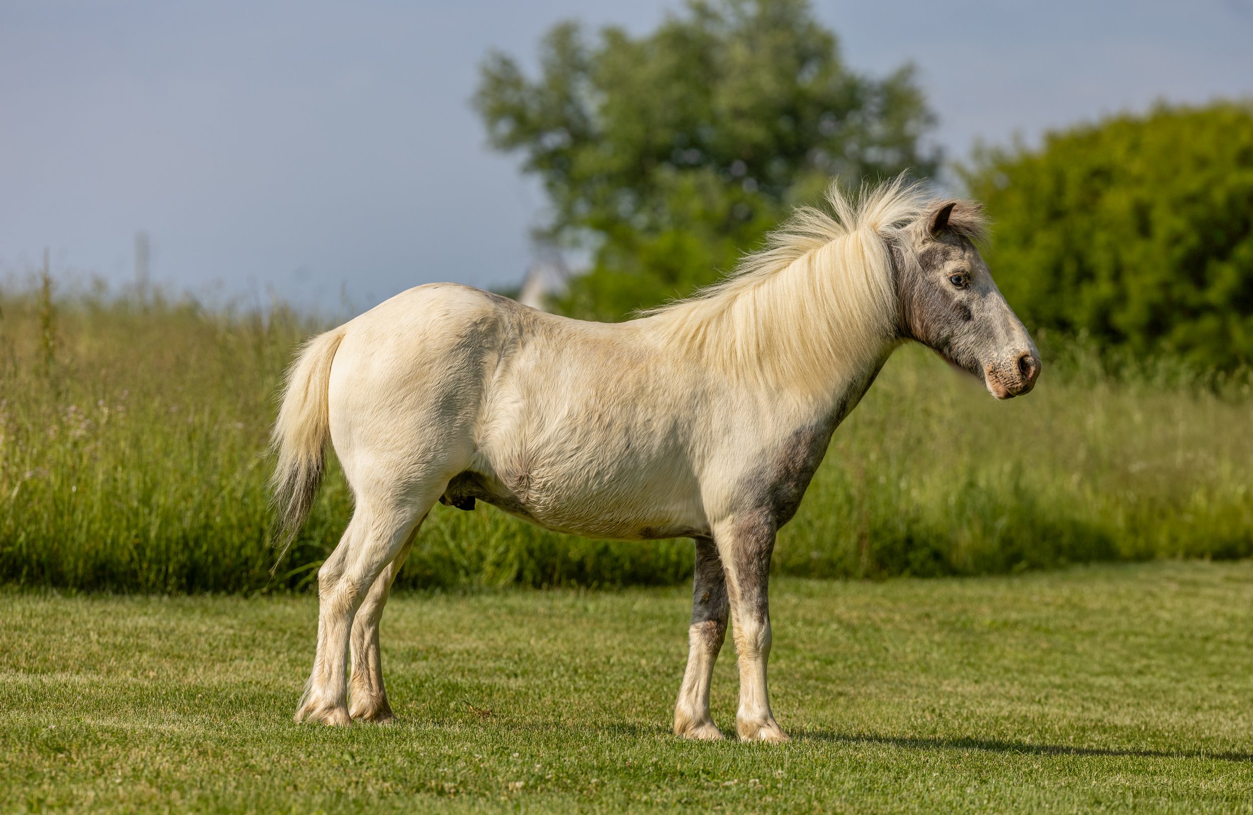 IMG_7617-Edit.jpg