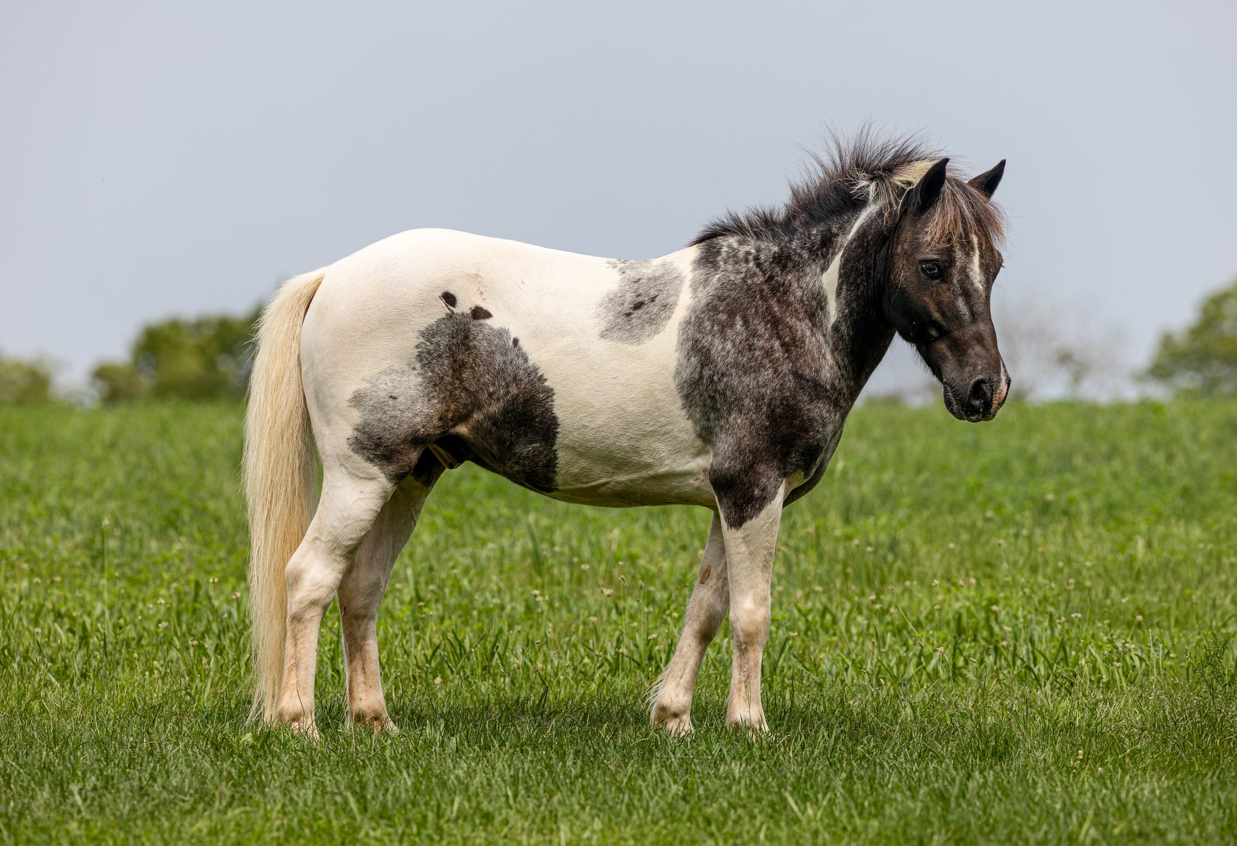 IMG_0551-Edit.jpg