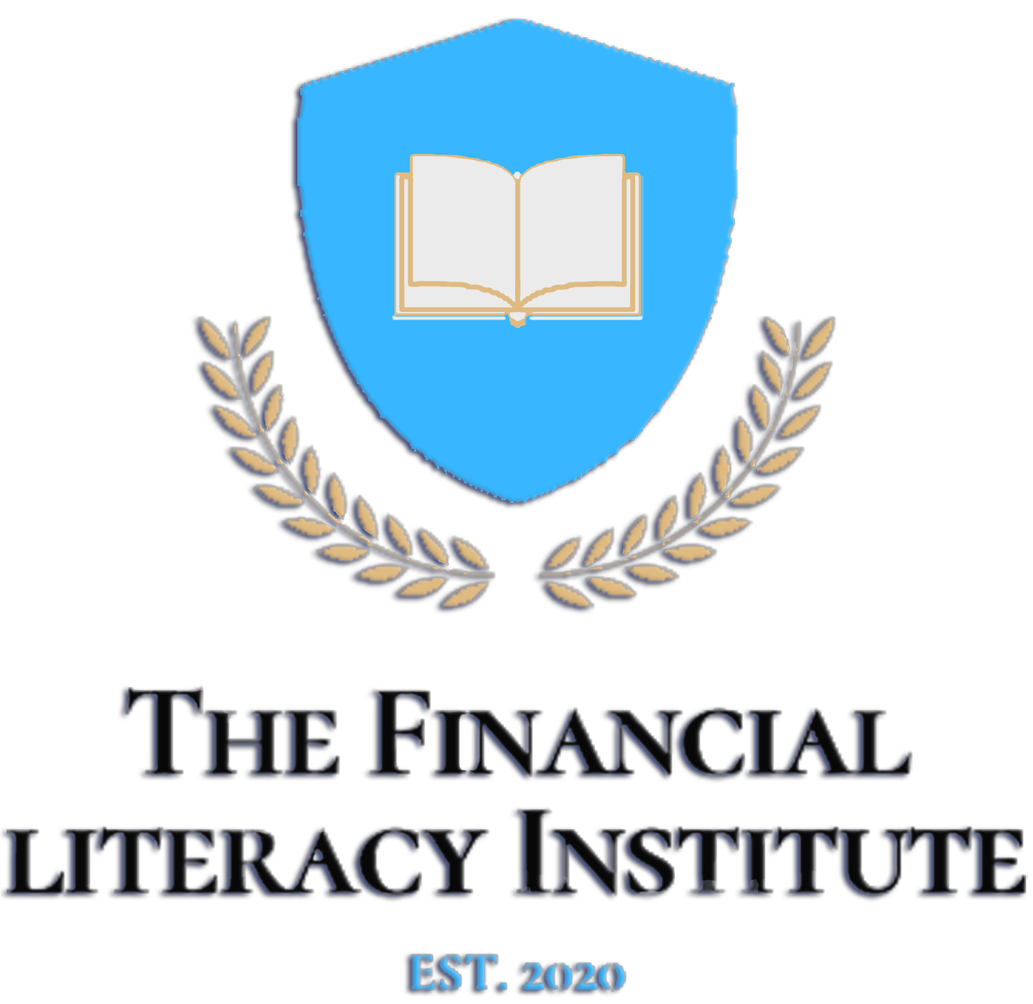 The Financial Literacy Institute