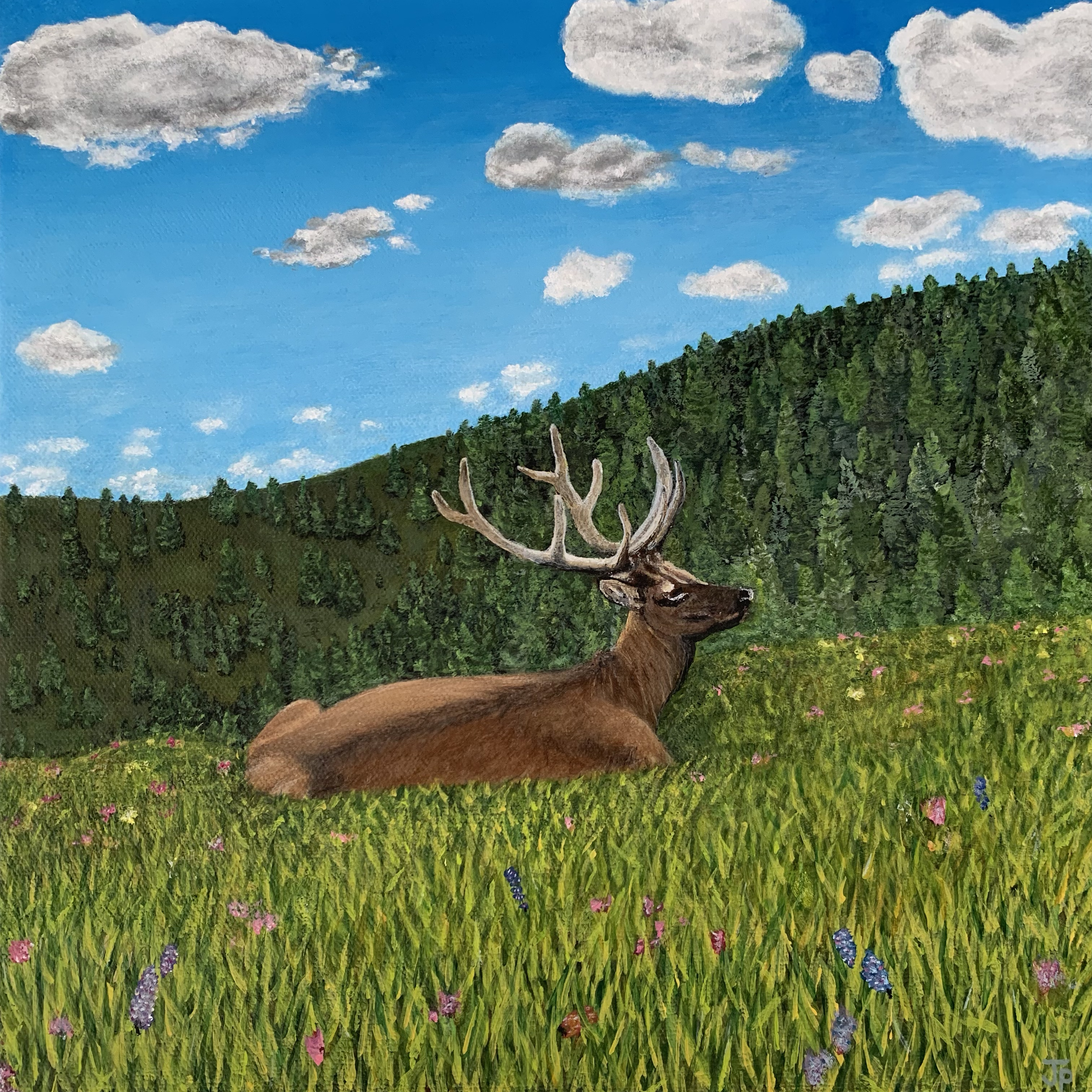 Summer Elk 2023, Acrylic on Canvas, 12"x12"