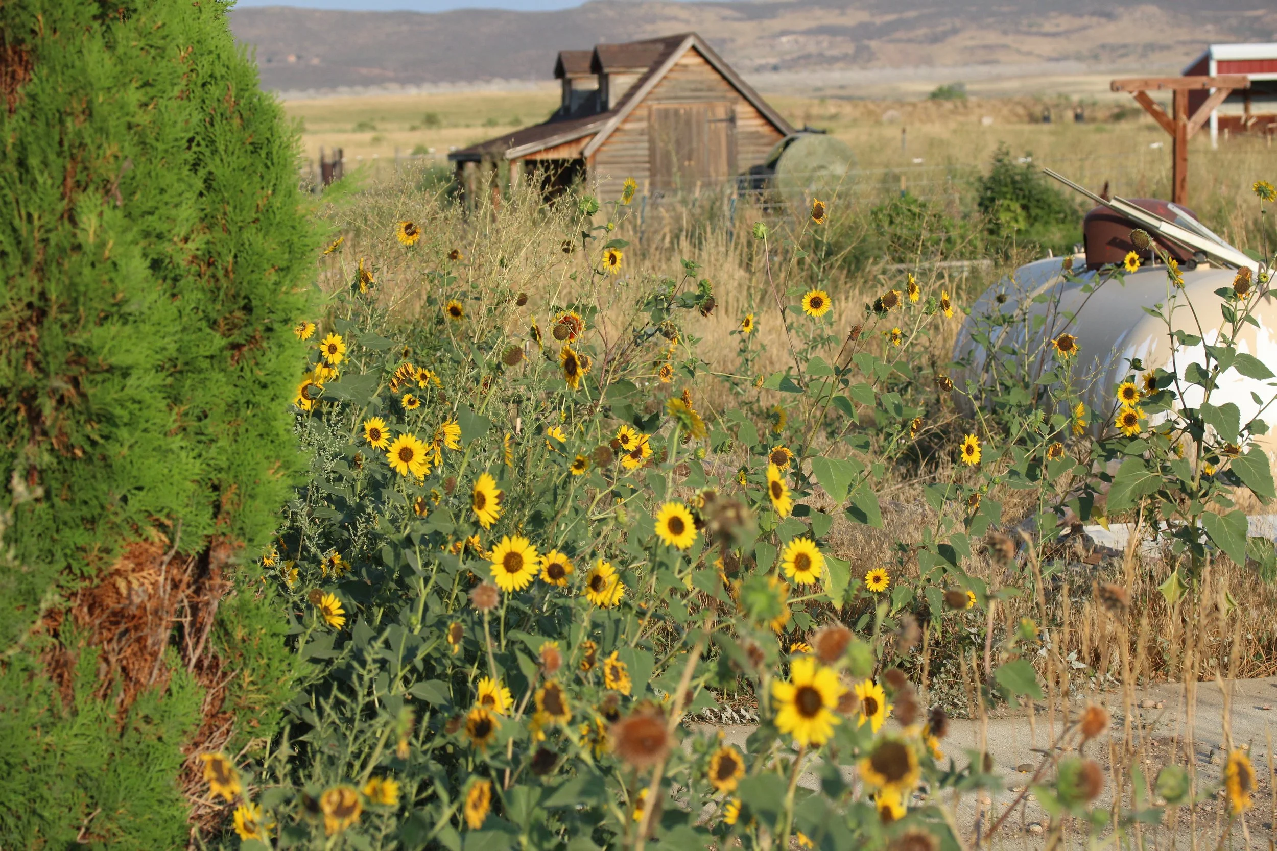 Front Range Fiber Arts Bash