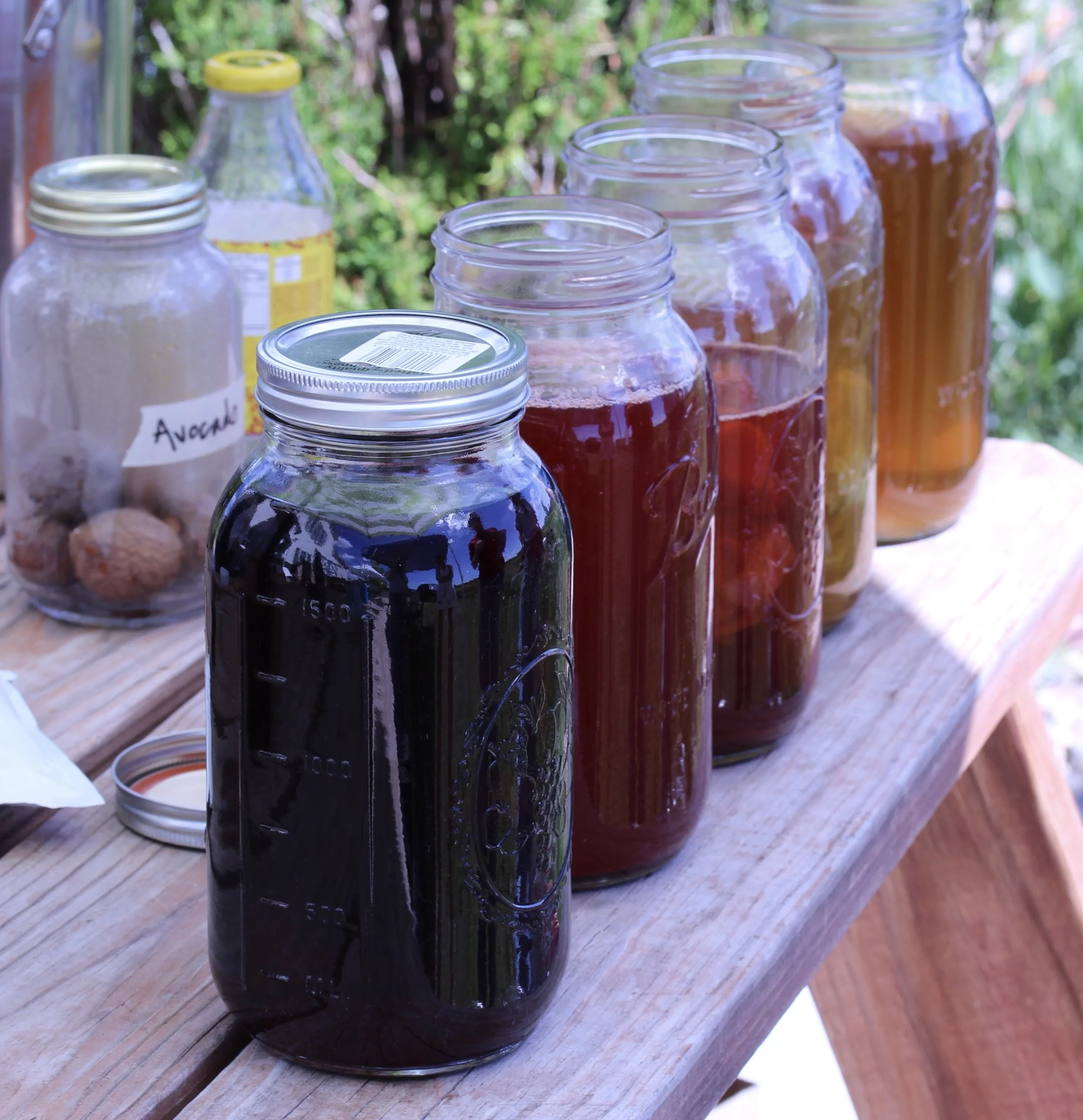 Photo of botanical dyes in canning jars