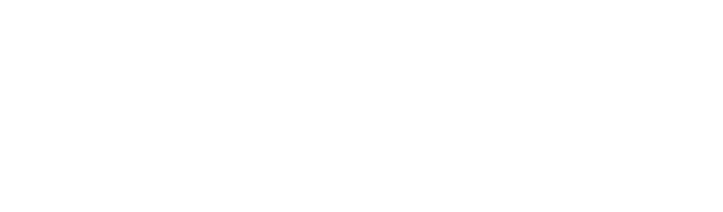 Tess Majors Foundation