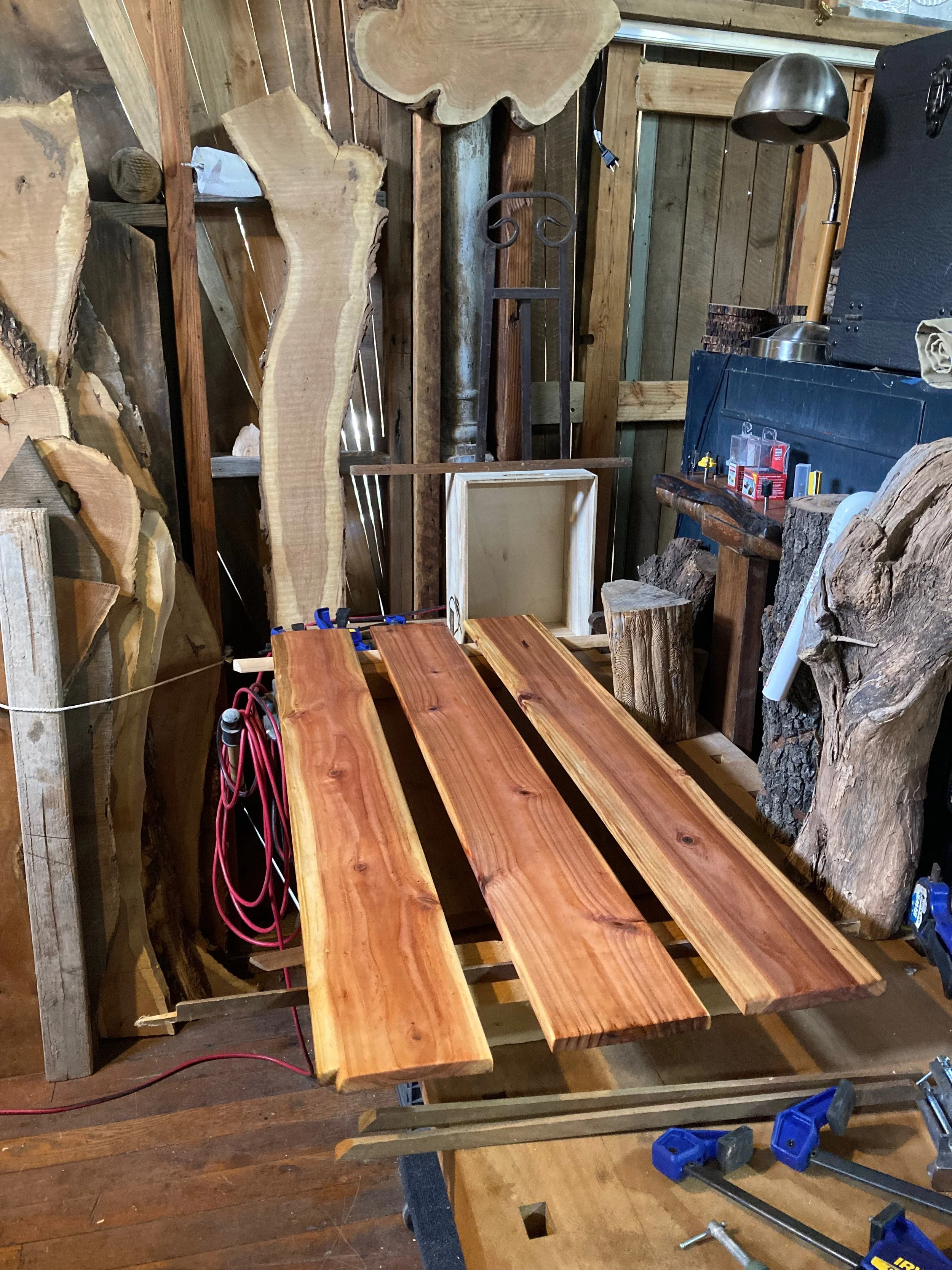 KellyOrr - 5 (2).jpeg