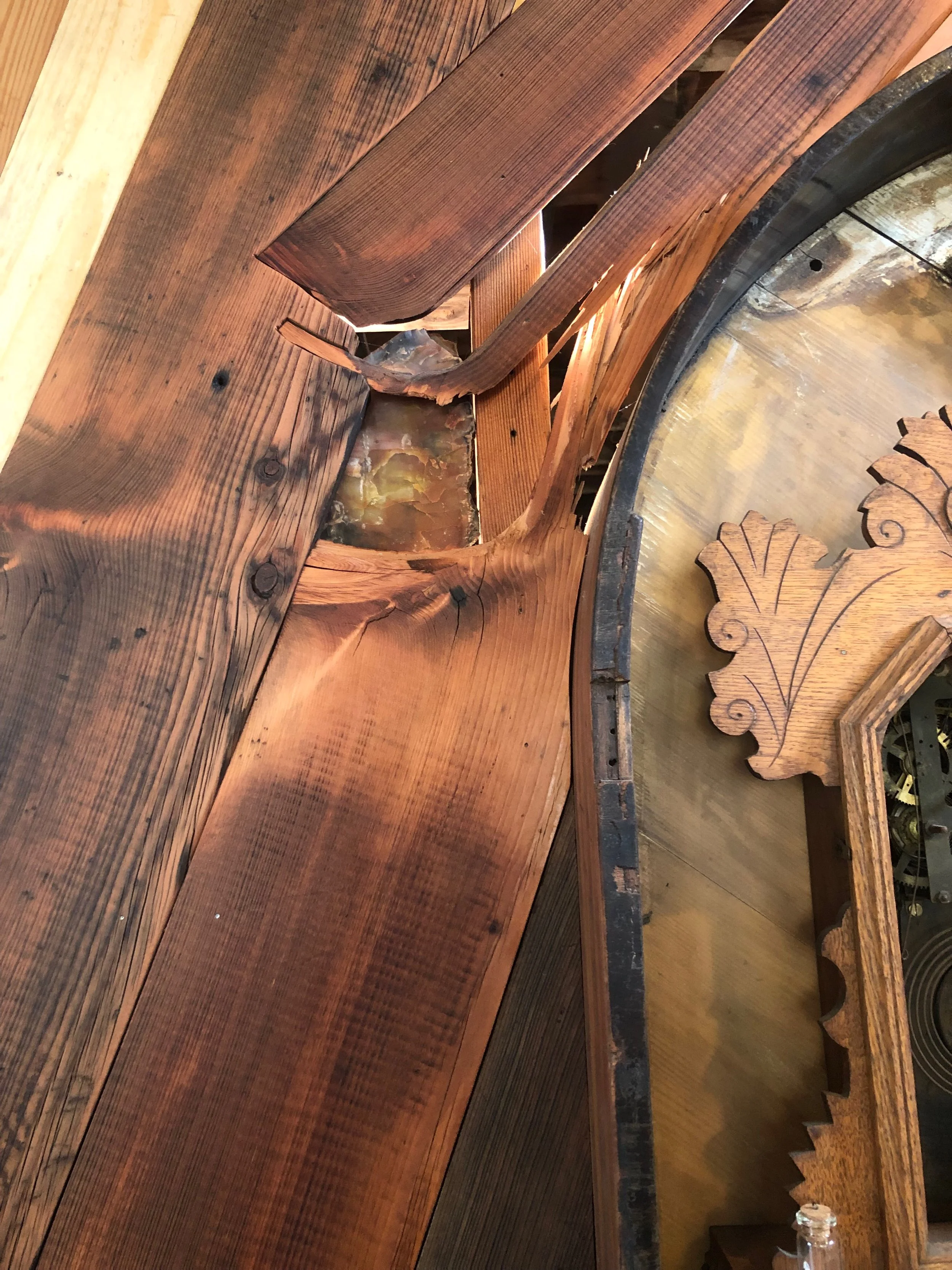 KellyOrr_Other - 2.jpeg