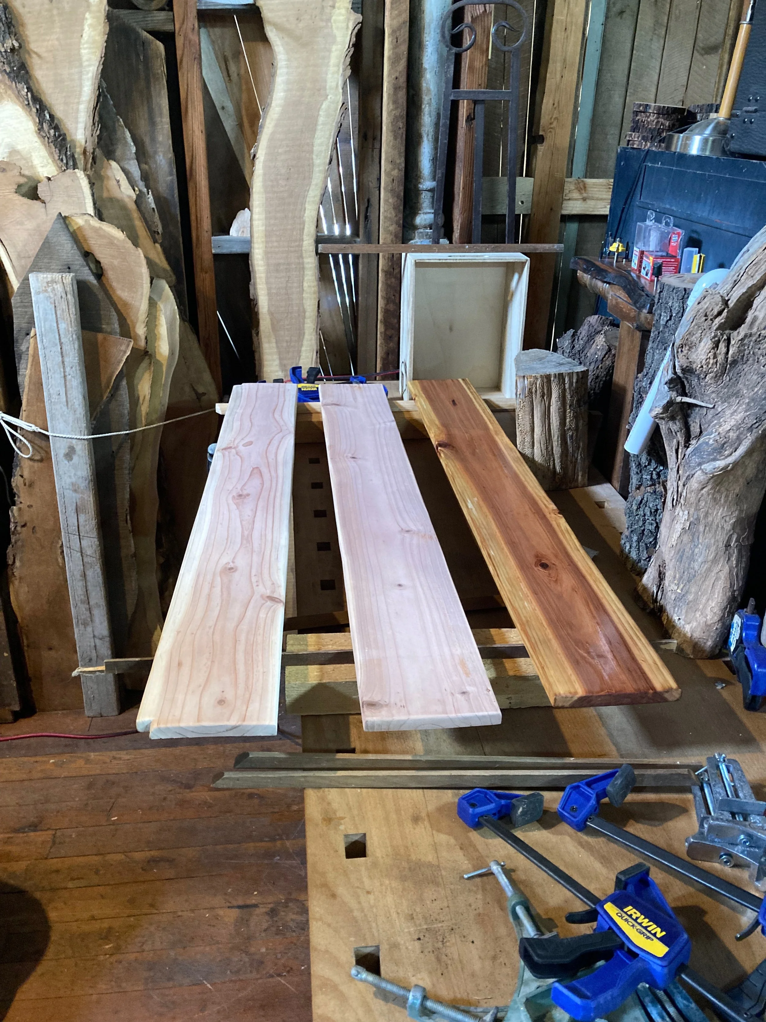 KellyOrr - 4 (2).jpeg