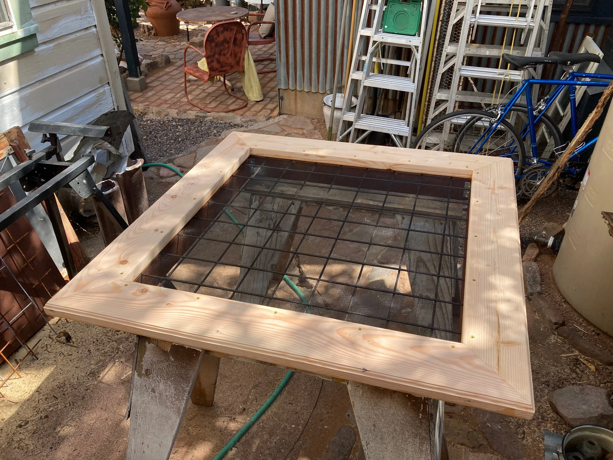 KellyOrr - 11 (2).jpeg