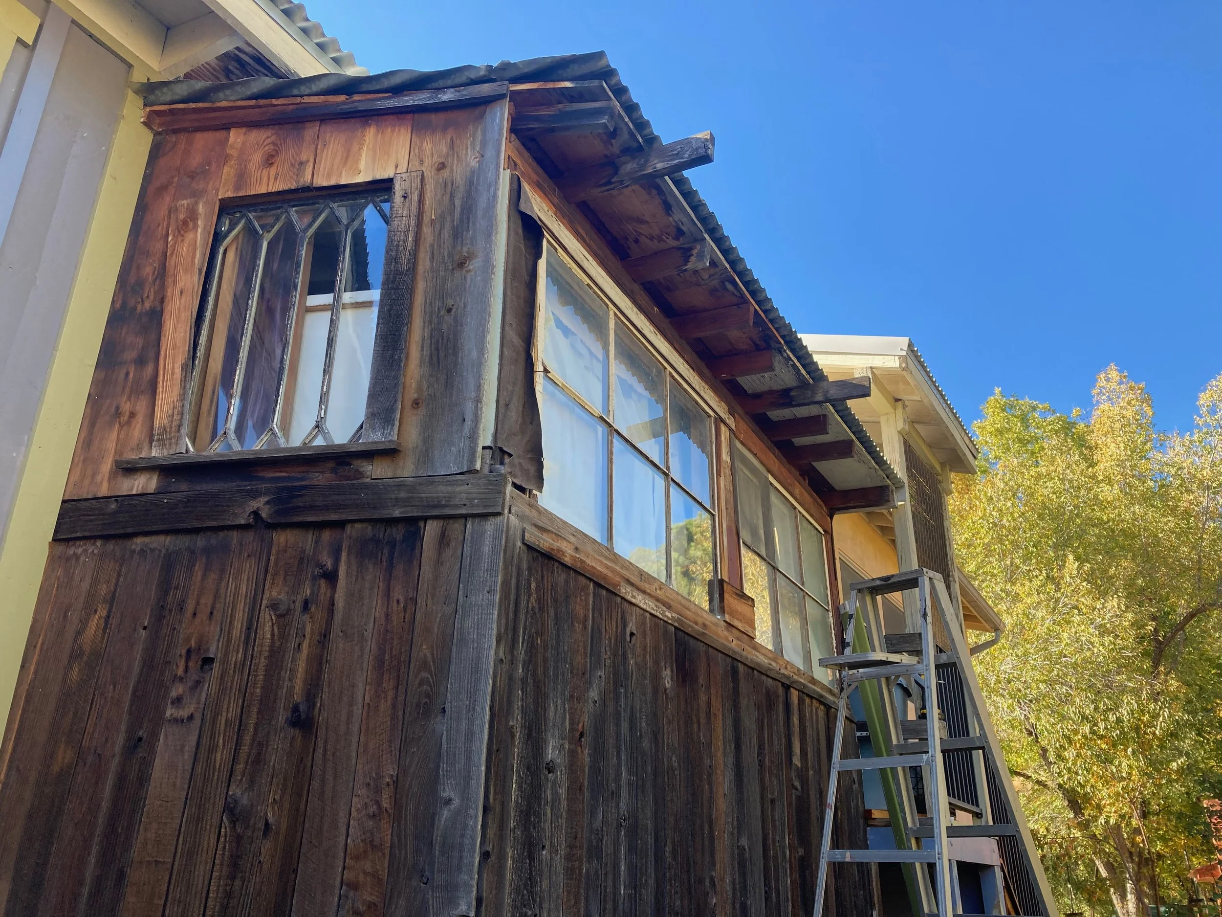 KellyOrr - 9 (1).jpeg