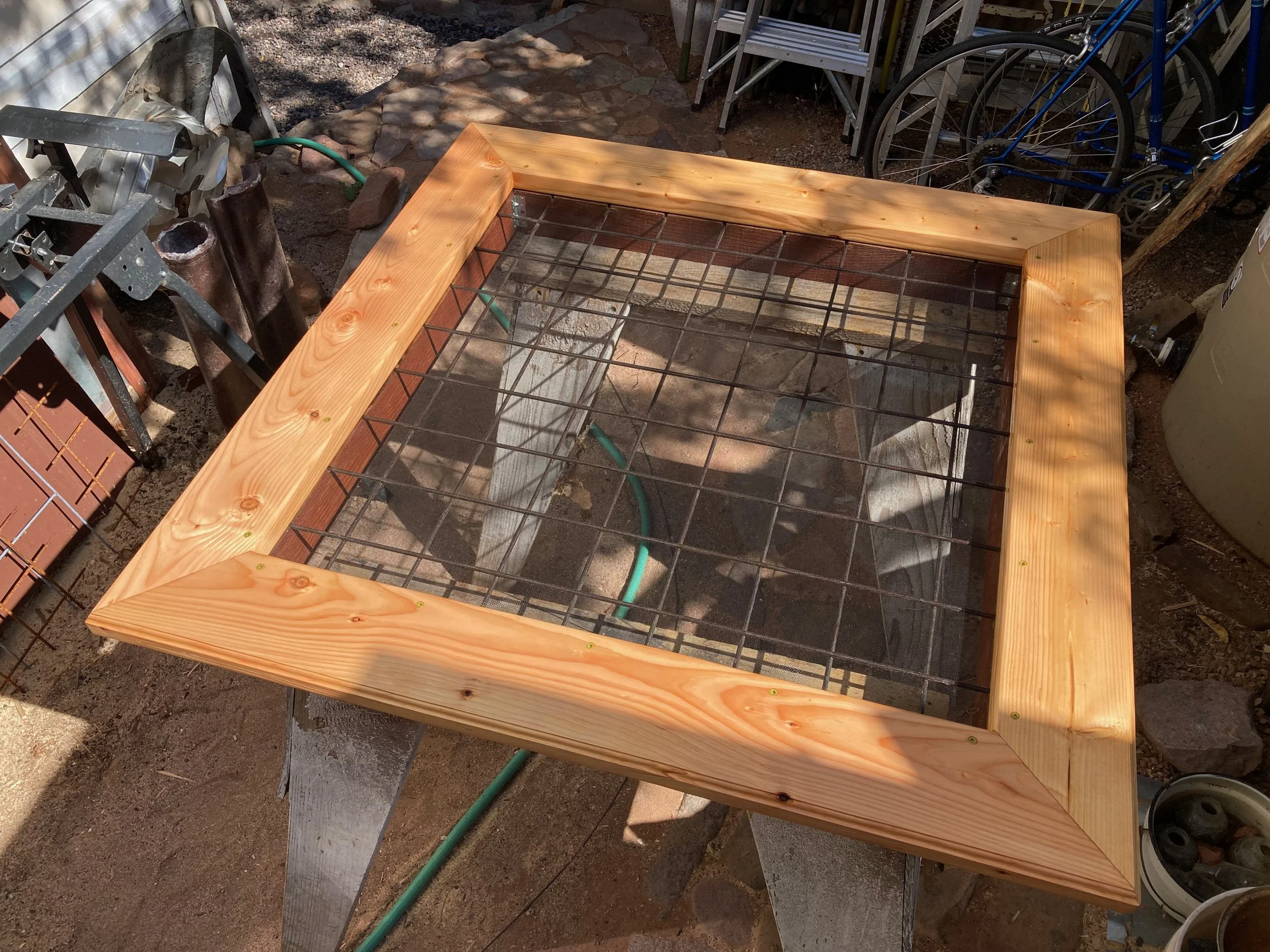 KellyOrr - 12 (2).jpeg