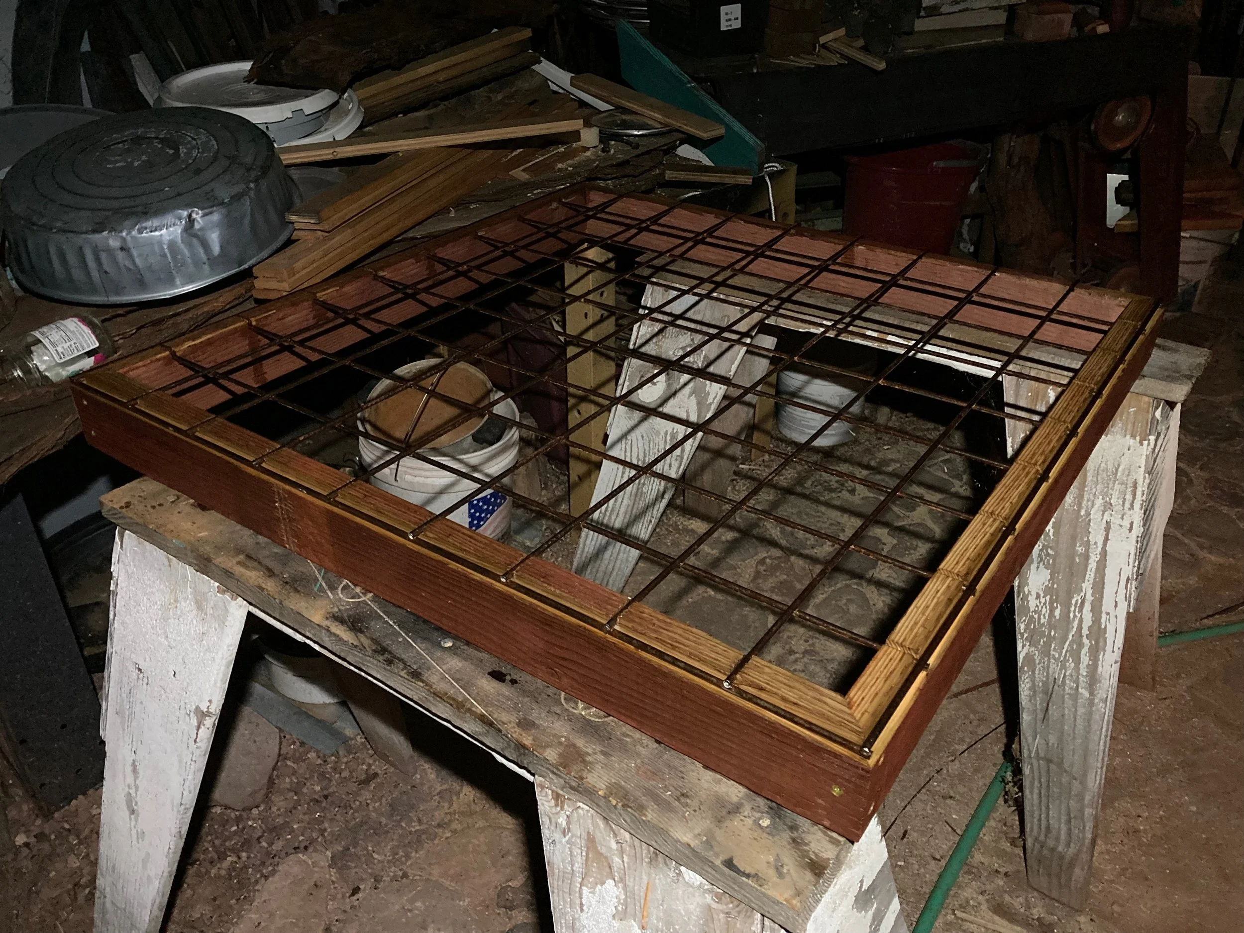 KellyOrr - 7 (1).jpeg