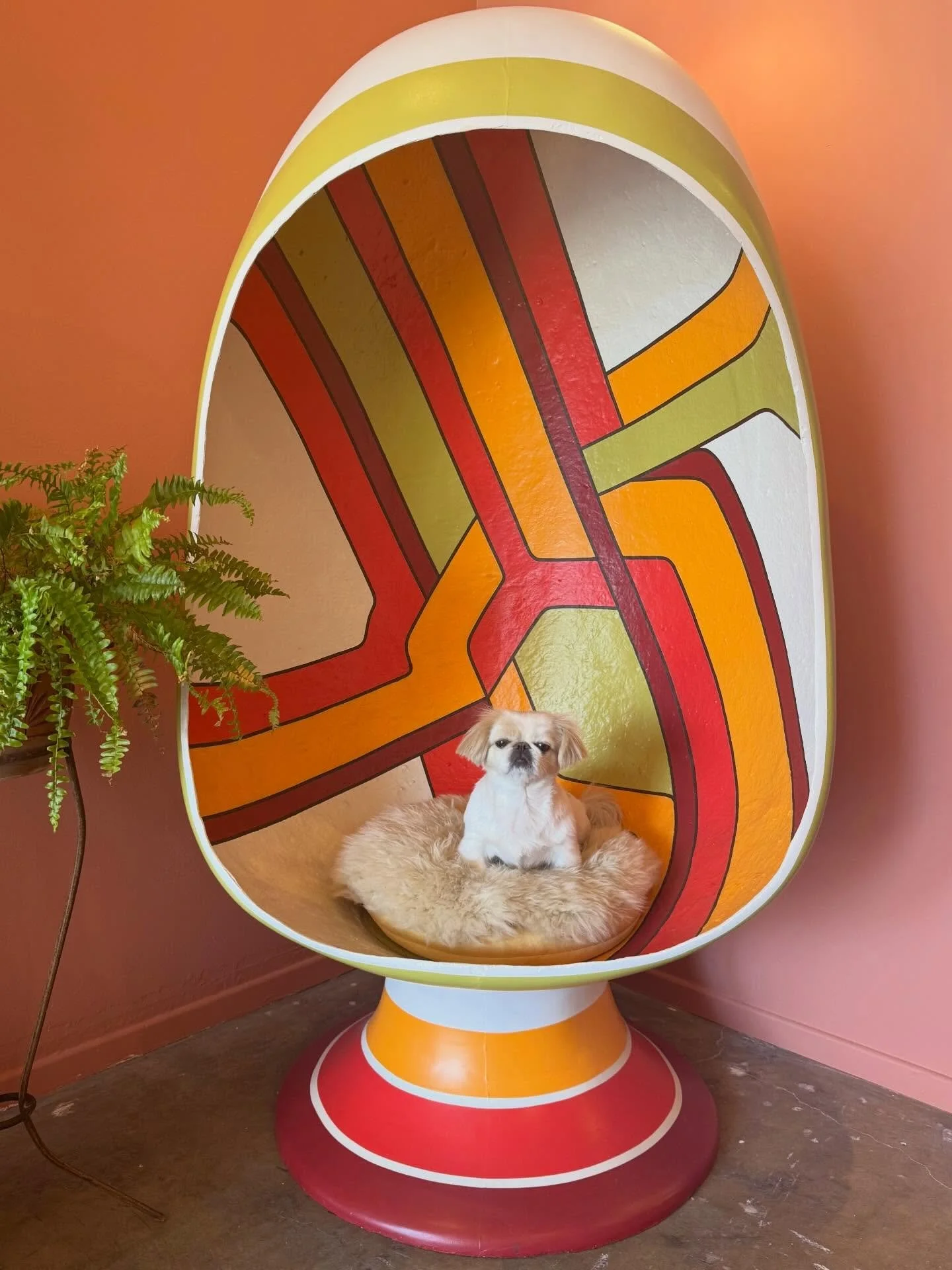 💛🧡❤️💛🧡❤️ Our little note-taker, Chloe.