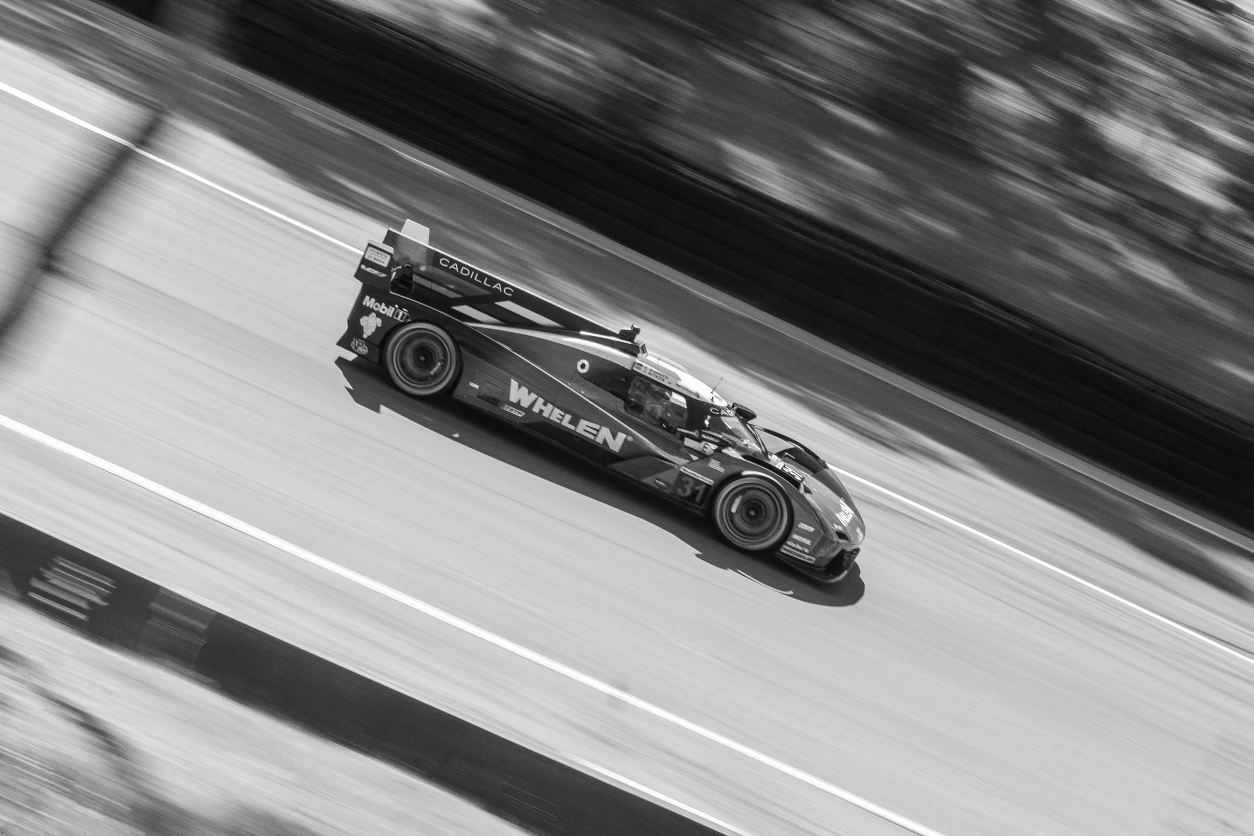 IMG_9984.jpg