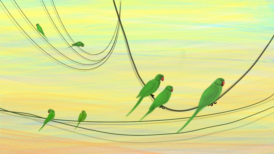 Illustration of green parrots