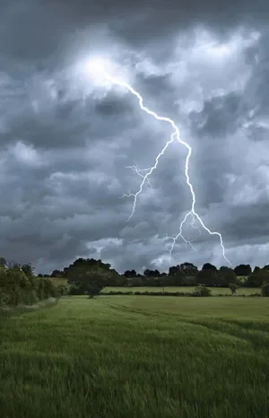 Natural Environment Phobias