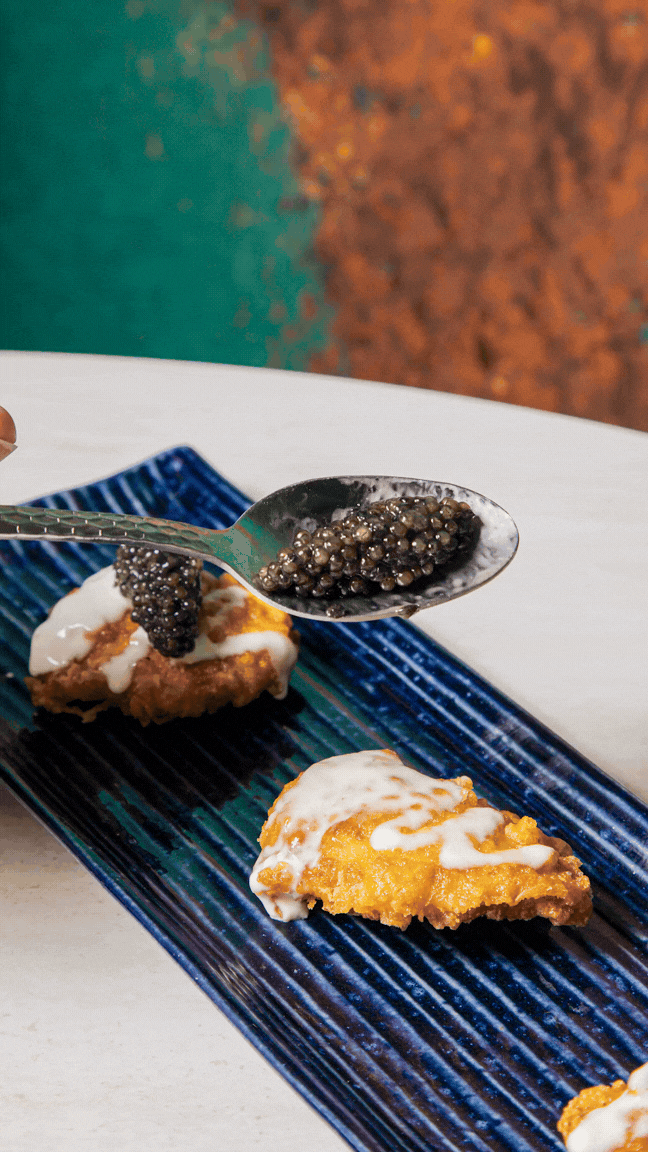 Untitled design copy 3.gif