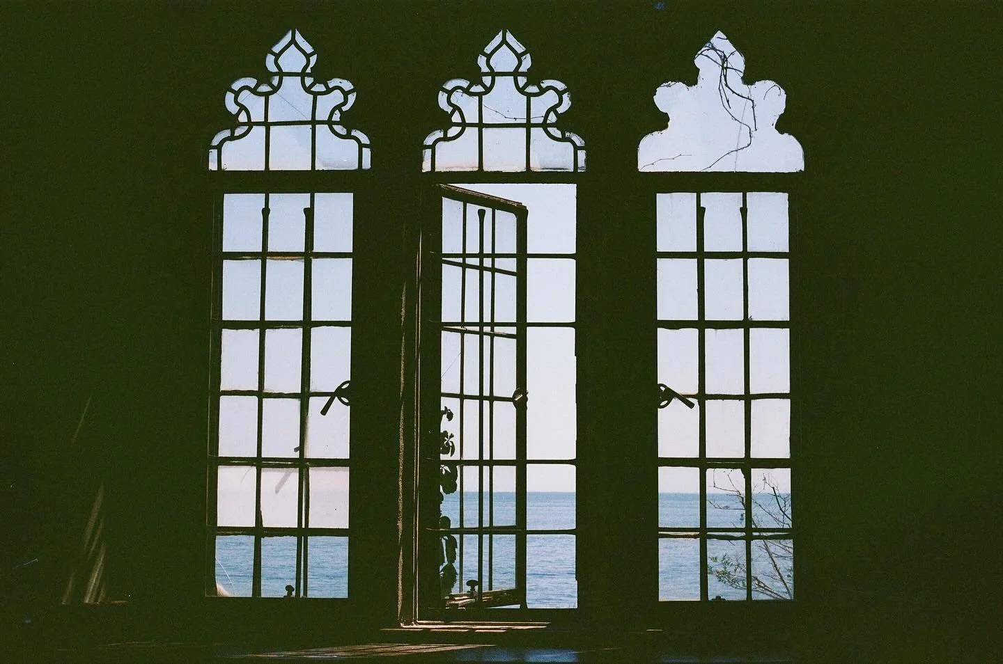 gloucester and the allston pigeons ✨