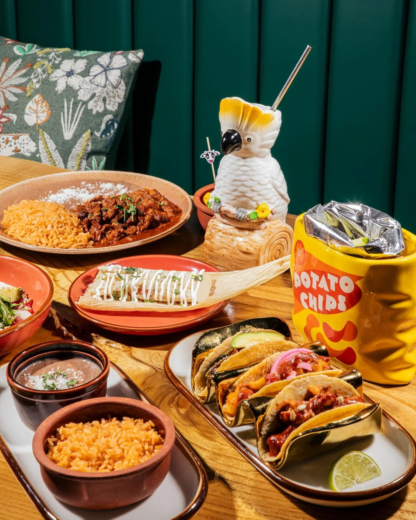 delicious spread 🌮 @gatoexoticocambridge 🐈
with @viviandfoodie