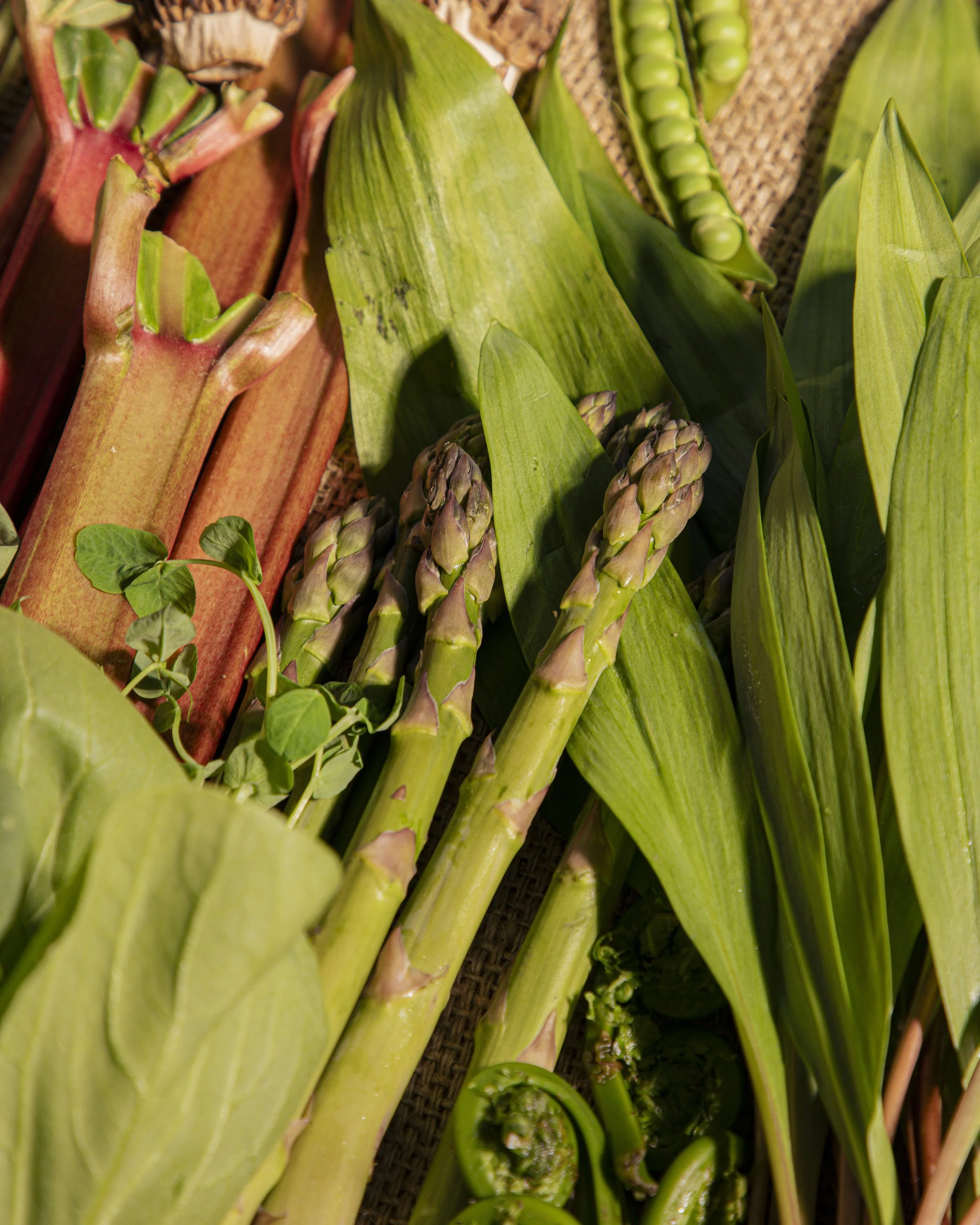 produce-1.jpg